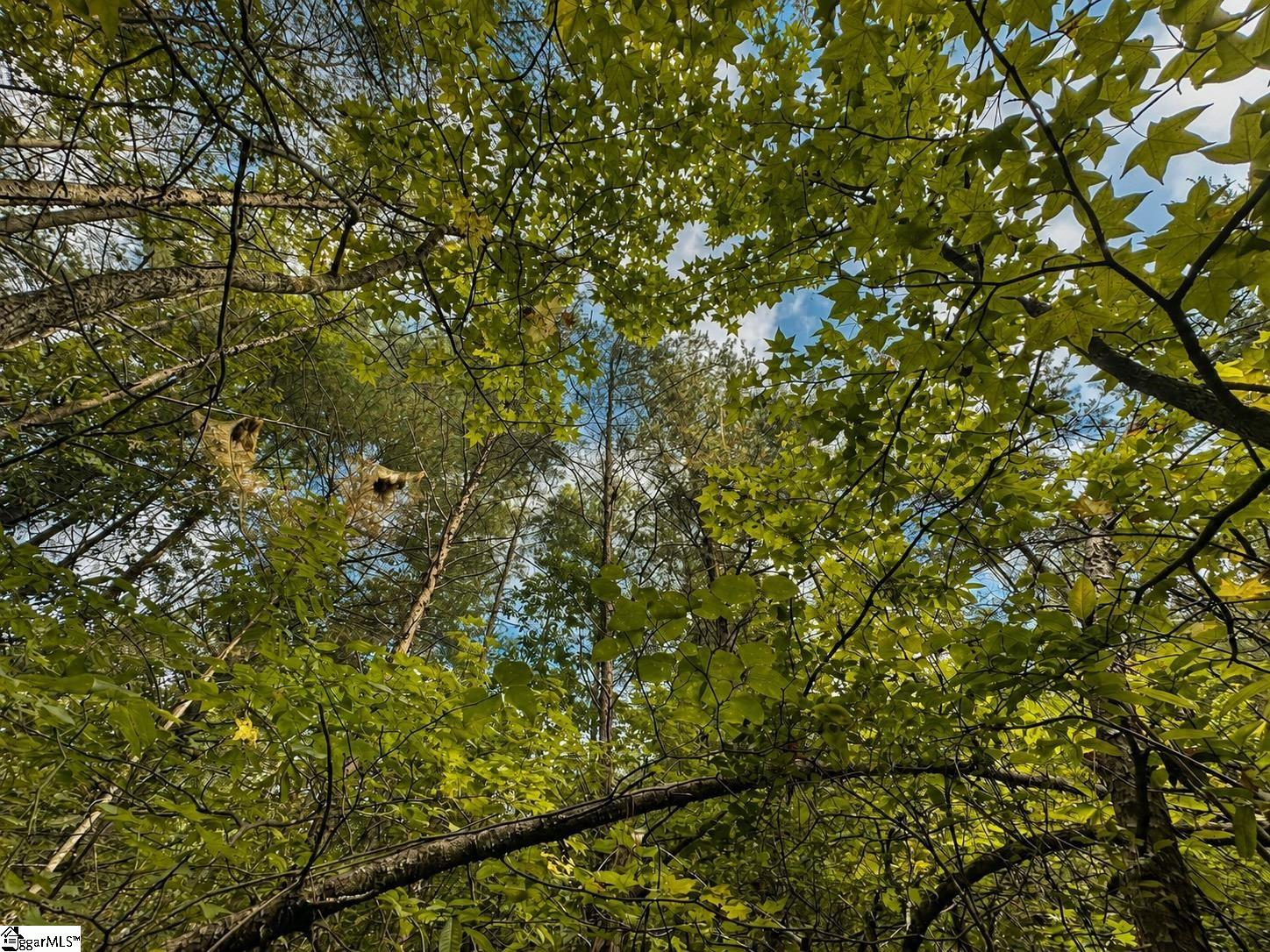 00 Sc Hwy 11 Property Photo 15