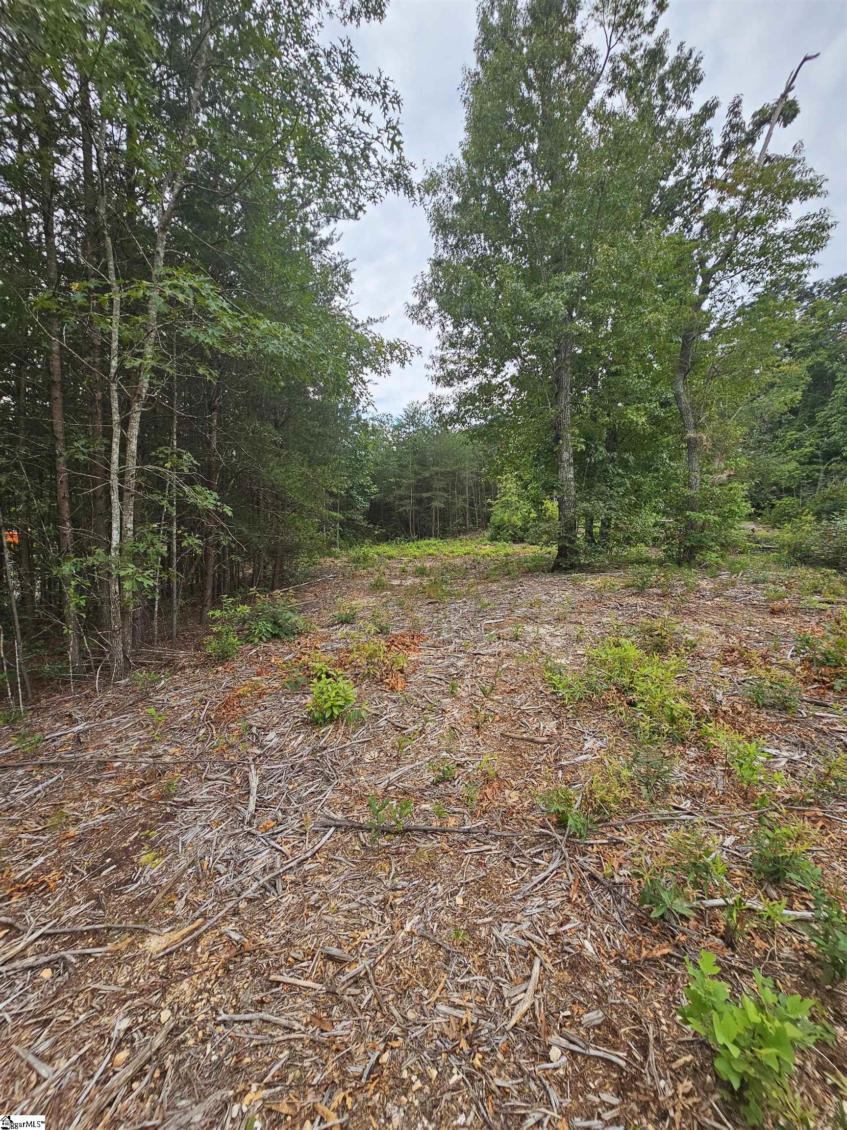 1138 Belue Mill Road Property Photo 3