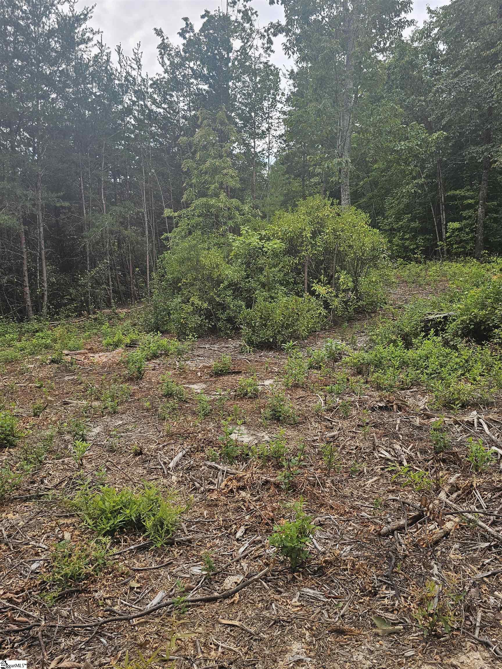 1138 Belue Mill Road Property Photo 4
