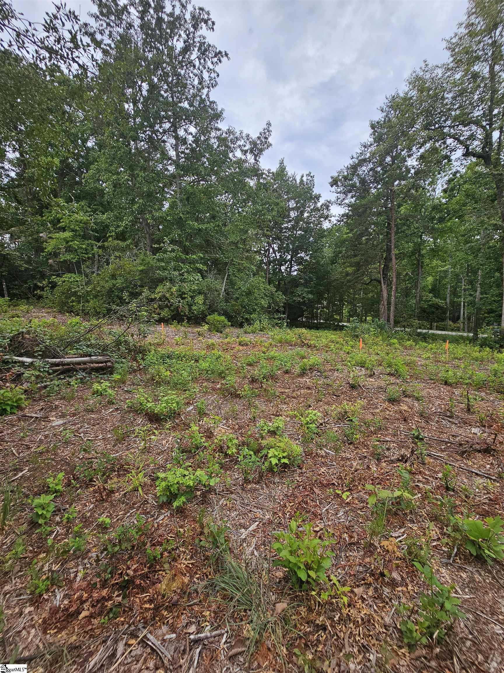 1138 Belue Mill Road Property Photo 5