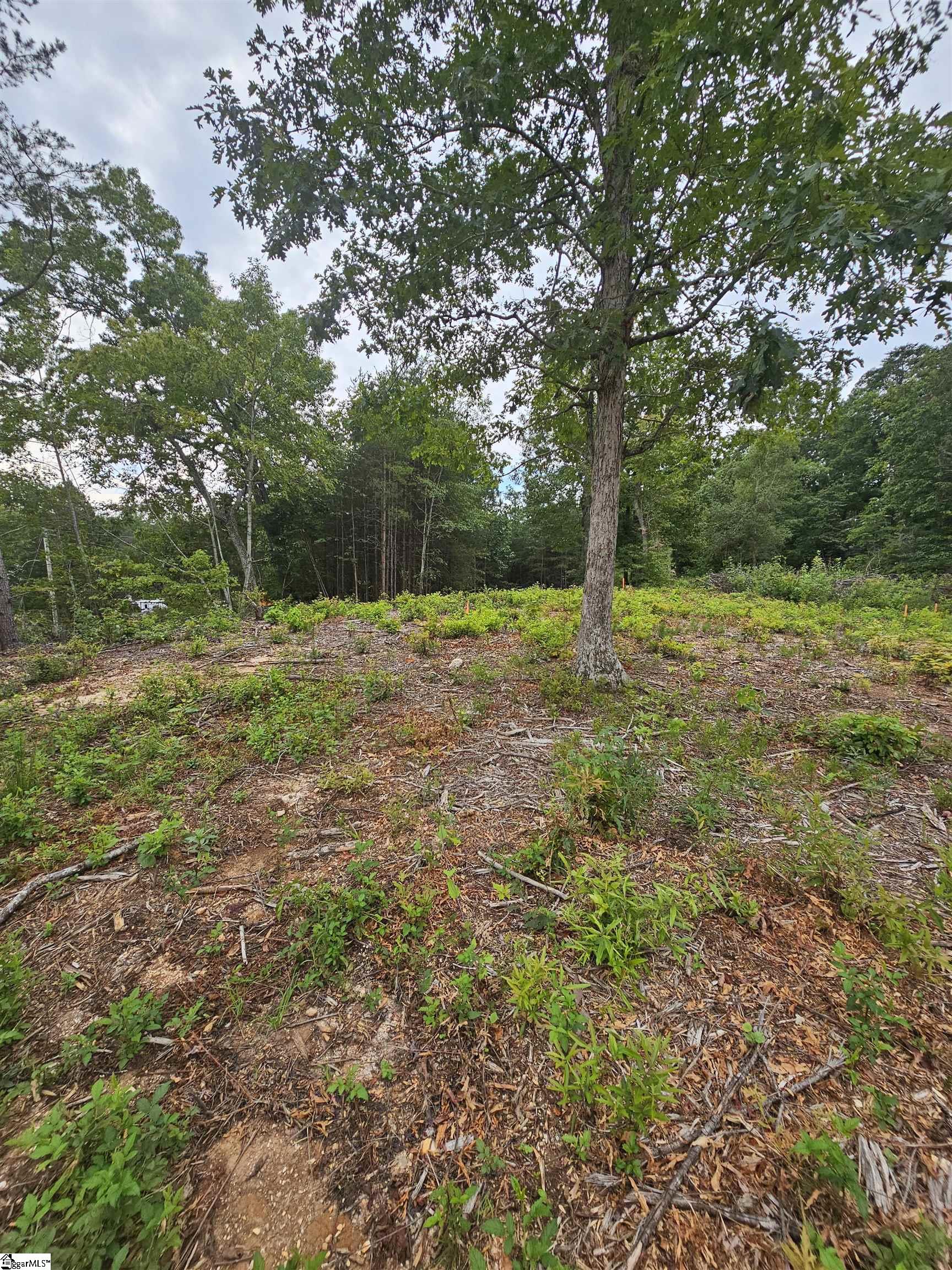 1146 Belue Mill Road Property Photo 2