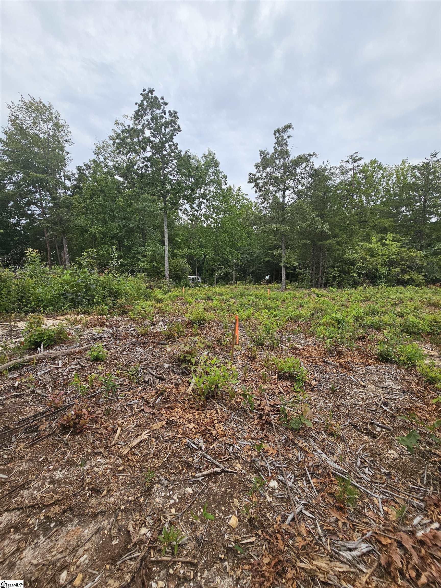 1146 Belue Mill Road Property Photo 6