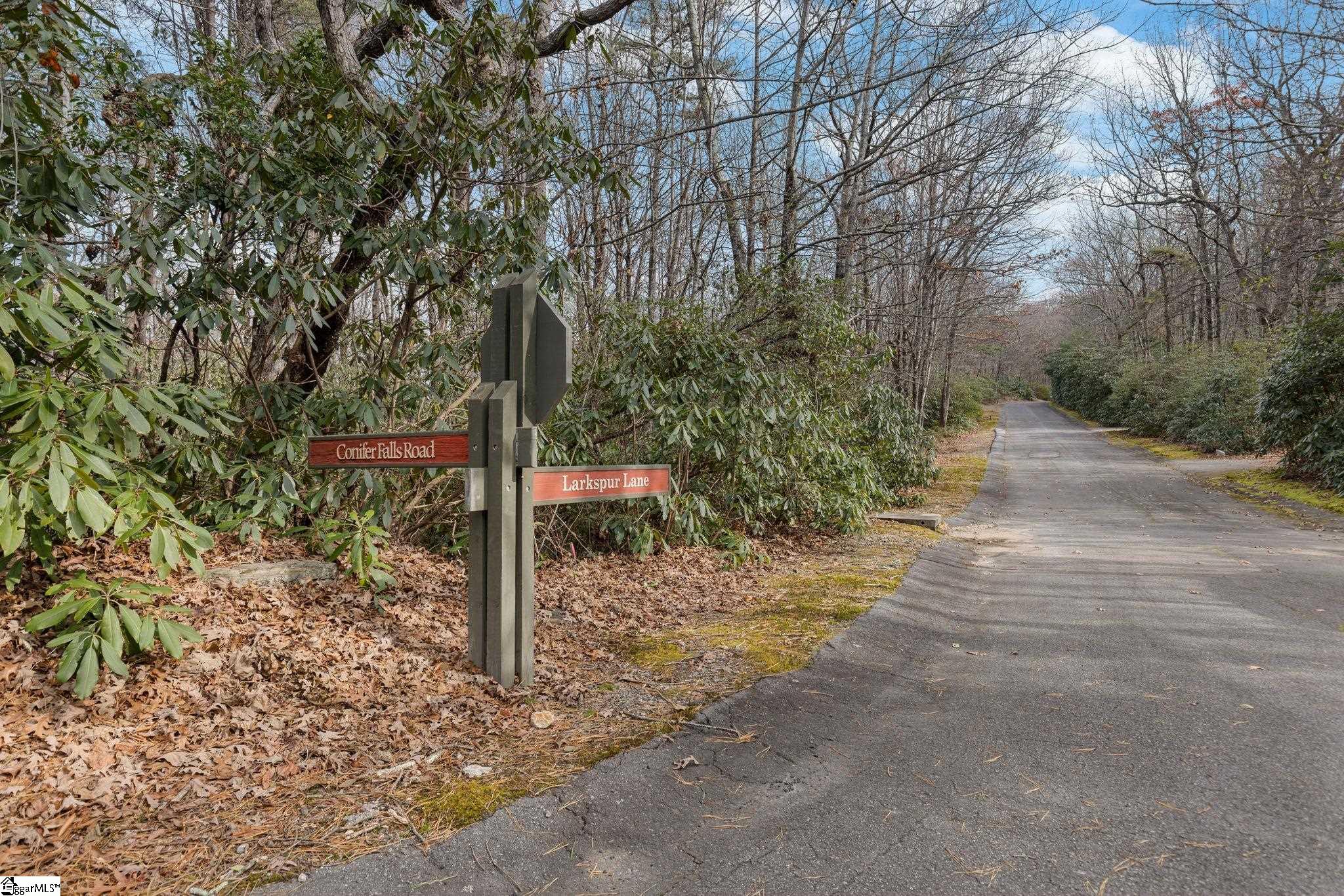 204 Conifer Falls Road Property Photo 2