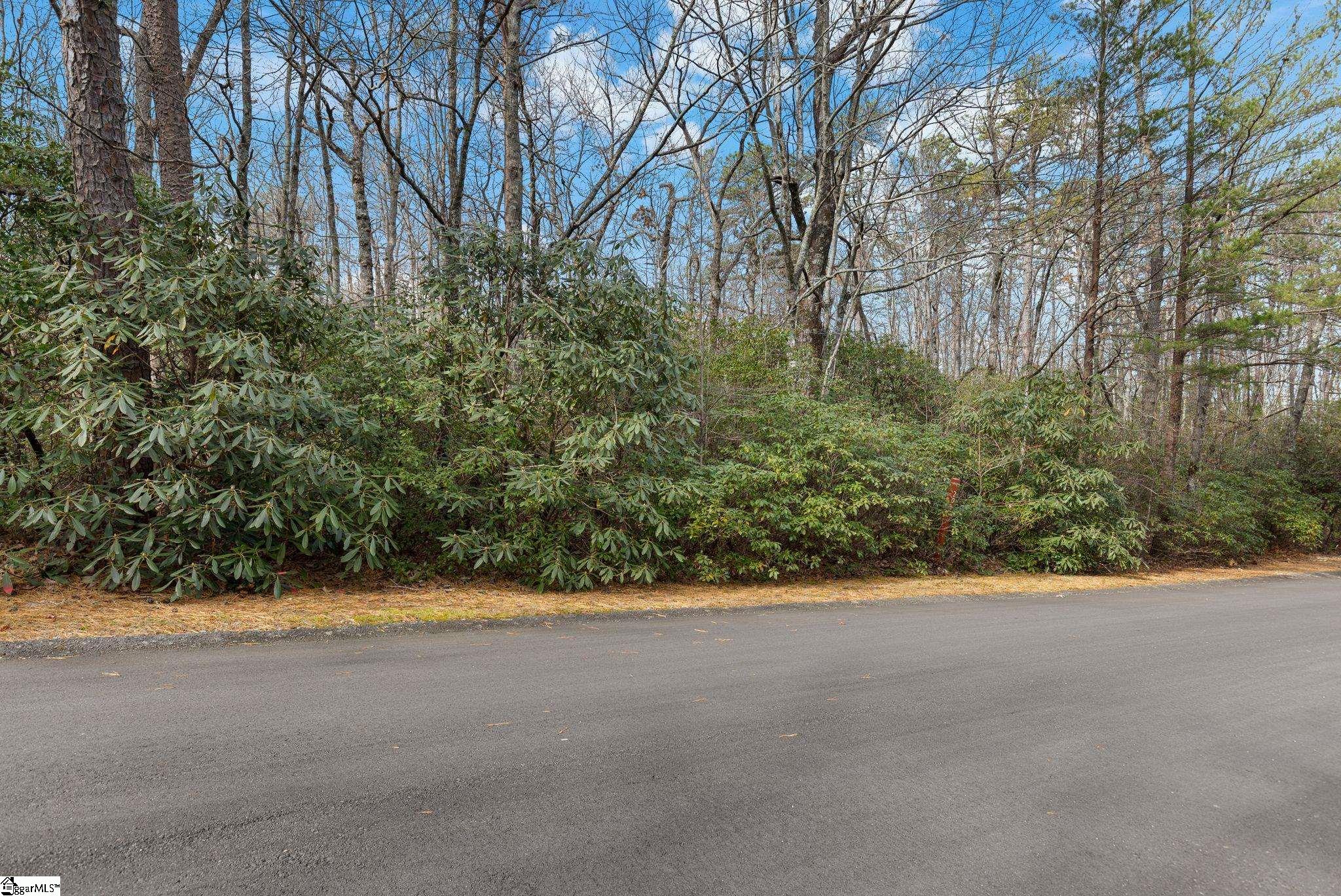 204 Conifer Falls Road Property Photo 4