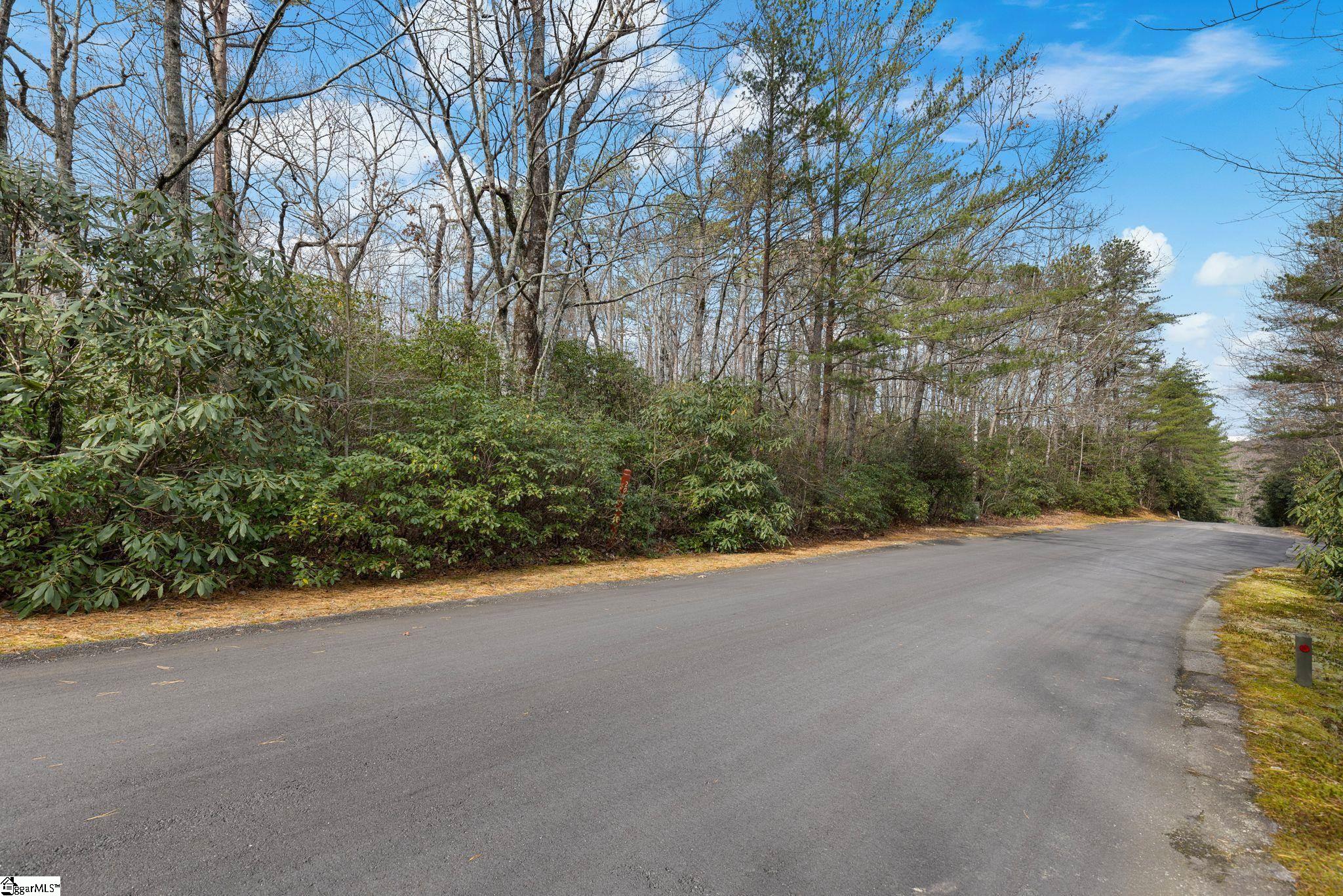 204 Conifer Falls Road Property Photo 5