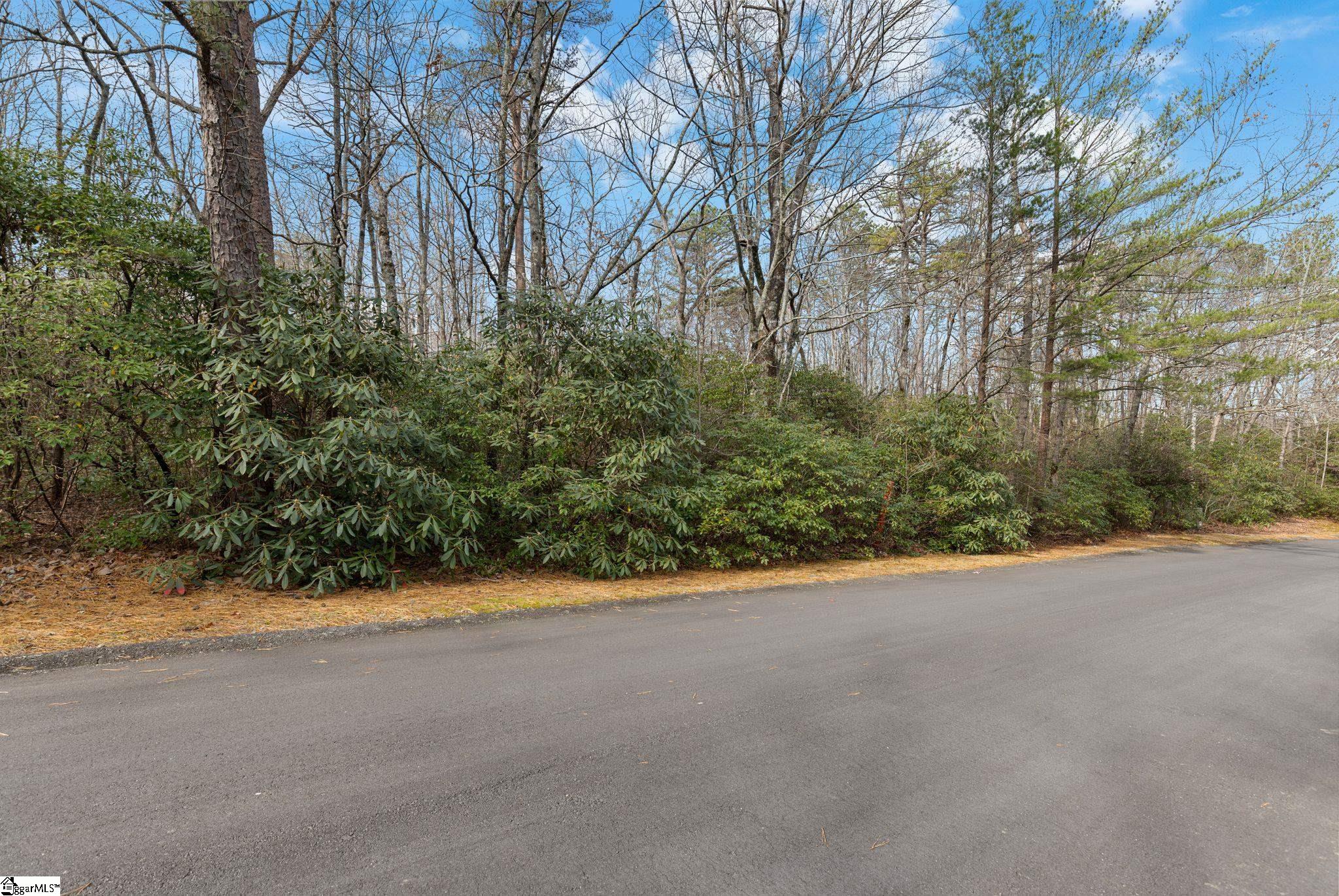 204 Conifer Falls Road Property Photo 6