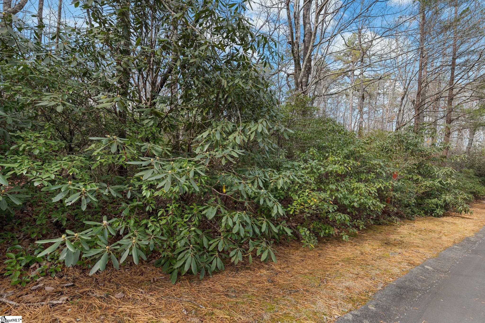 204 Conifer Falls Road Property Photo 7