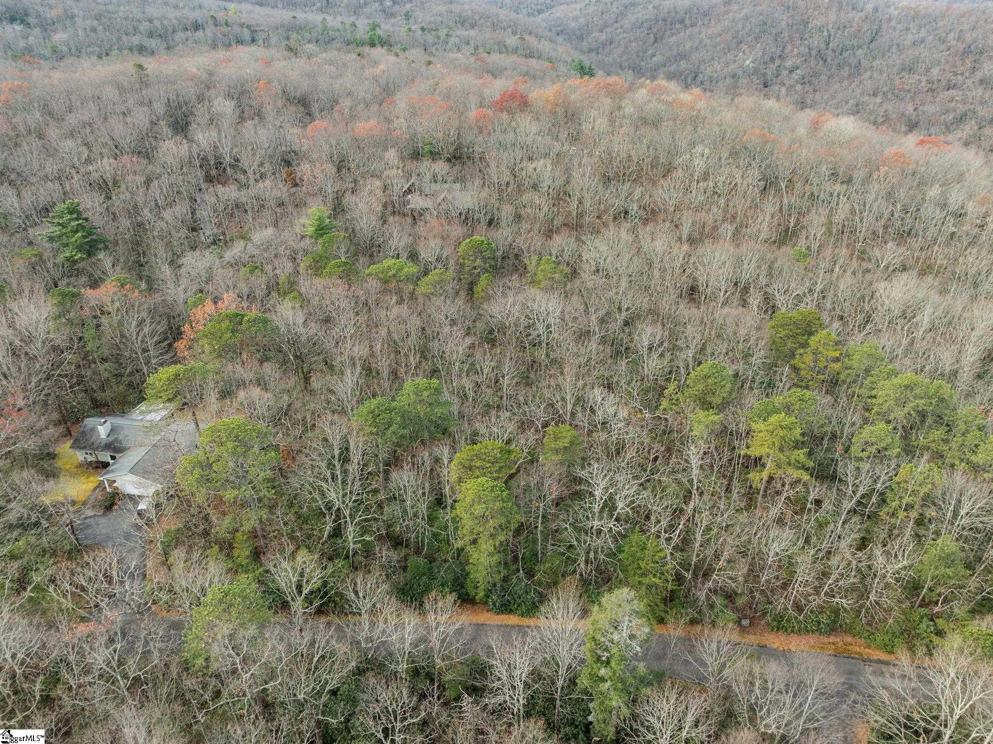204 Conifer Falls Road Property Photo 12