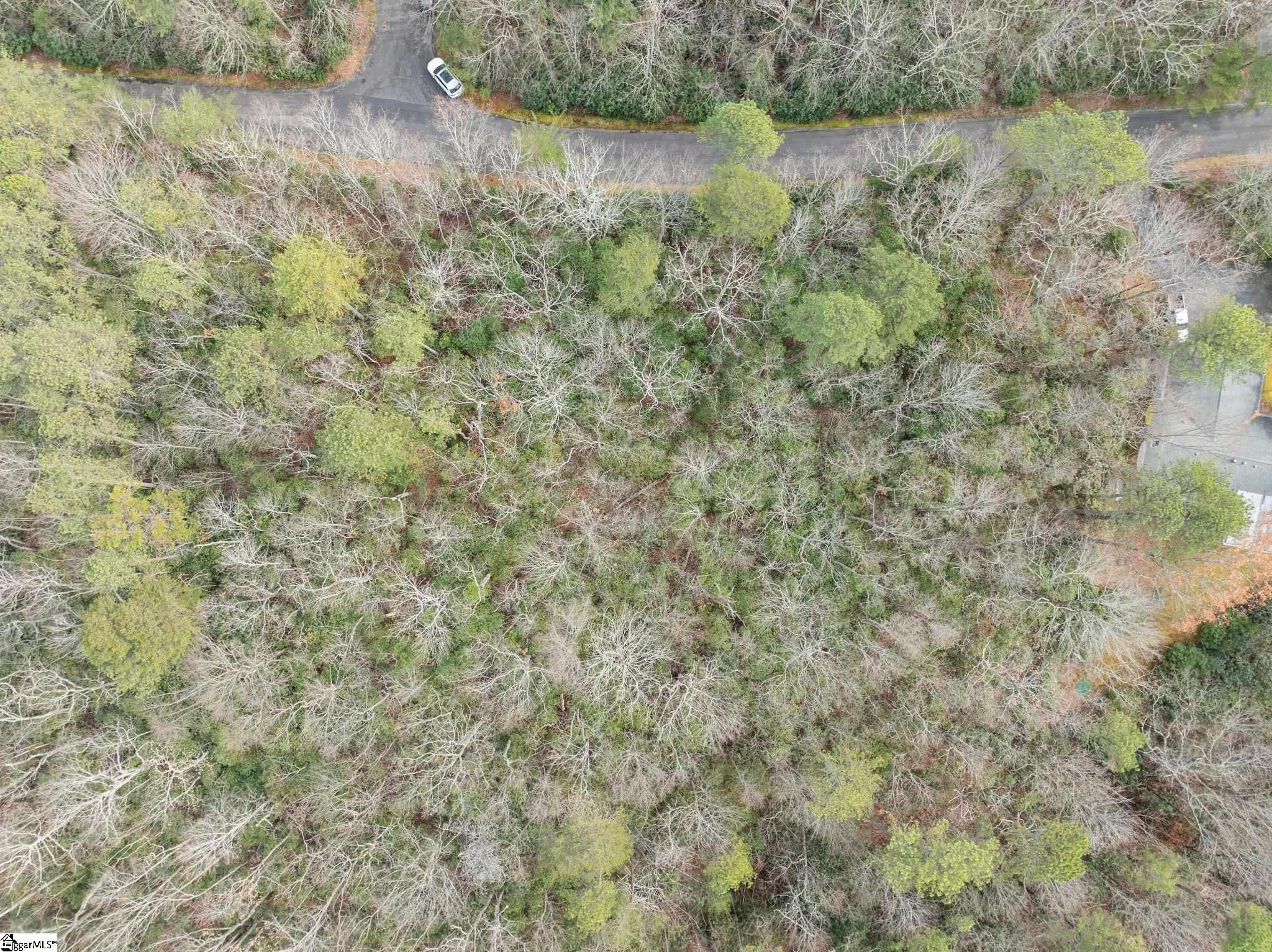 204 Conifer Falls Road Property Photo 13