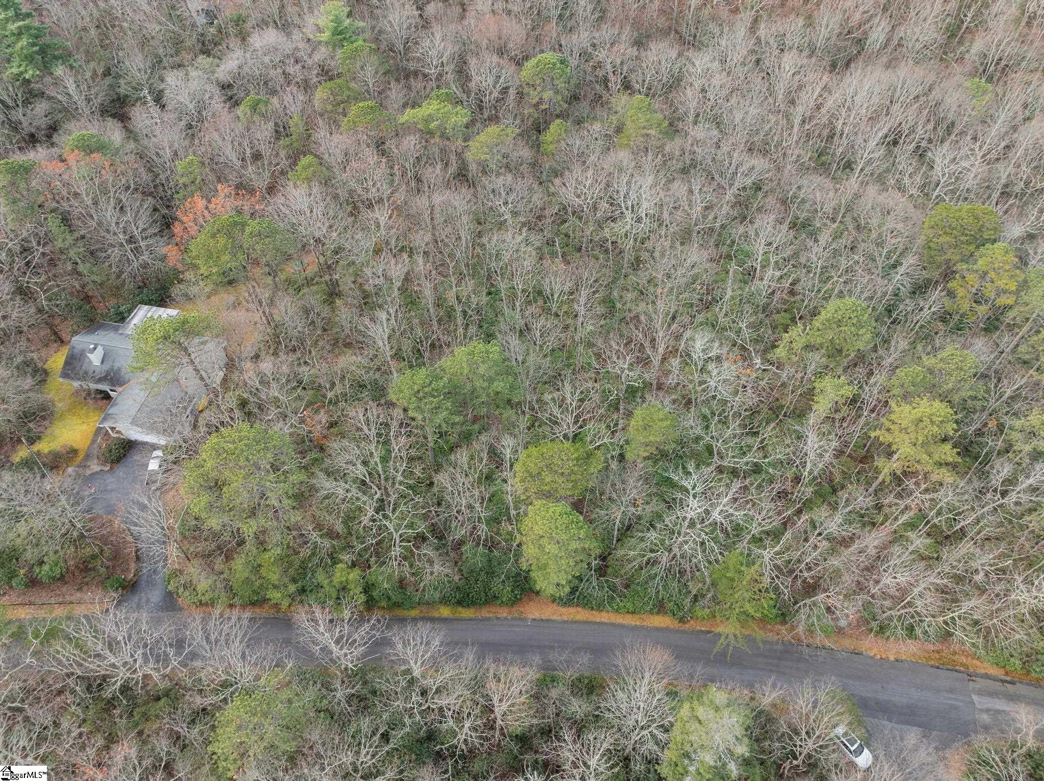 204 Conifer Falls Road Property Photo 14