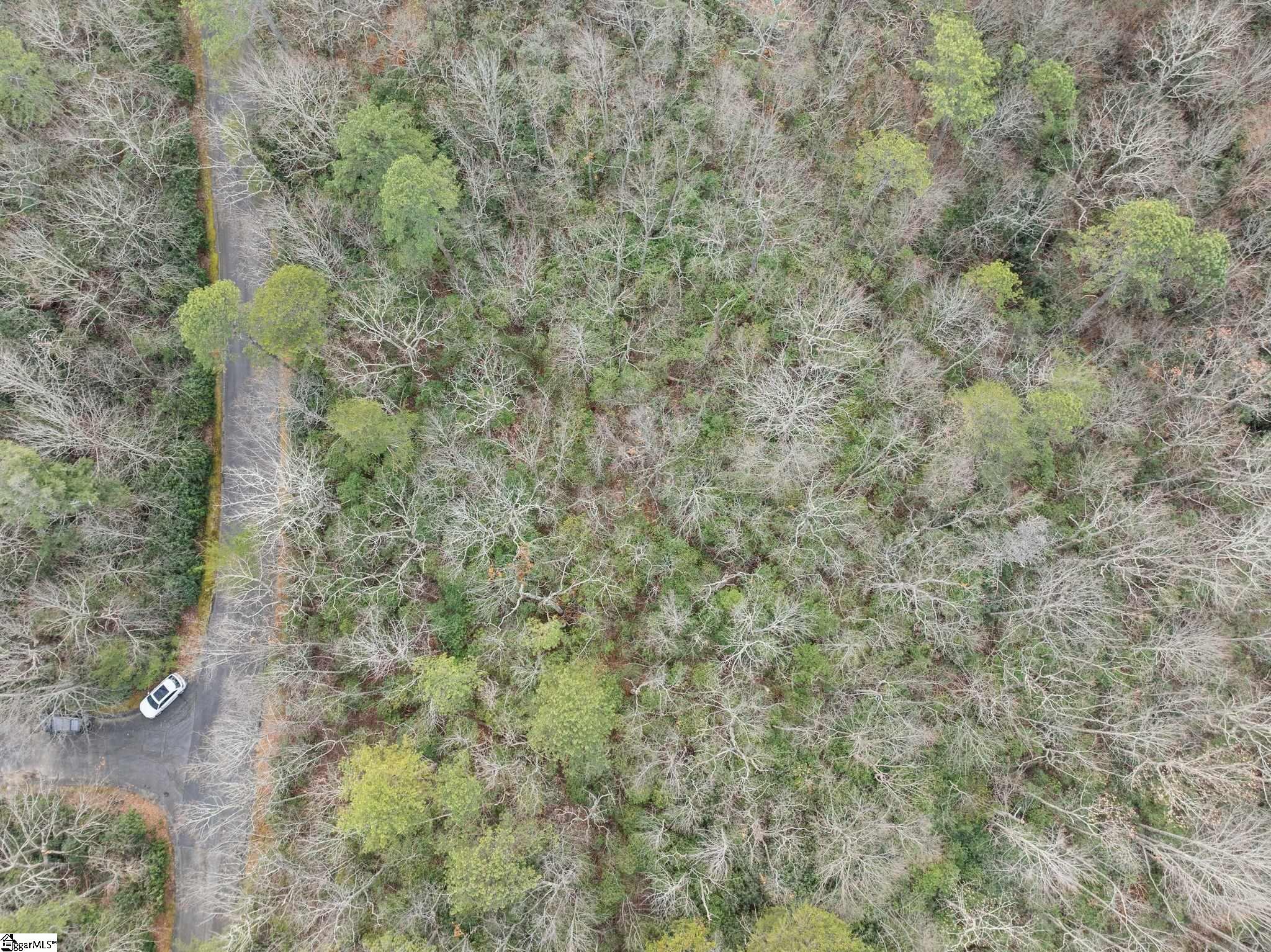 204 Conifer Falls Road Property Photo 15