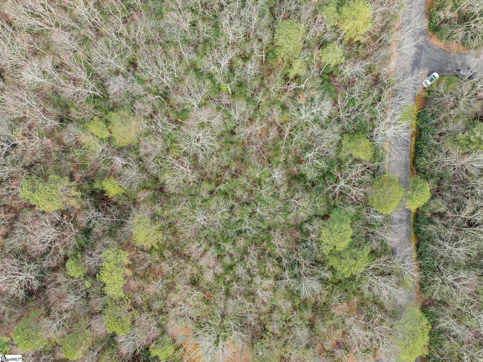 204 Conifer Falls Road Property Photo 16