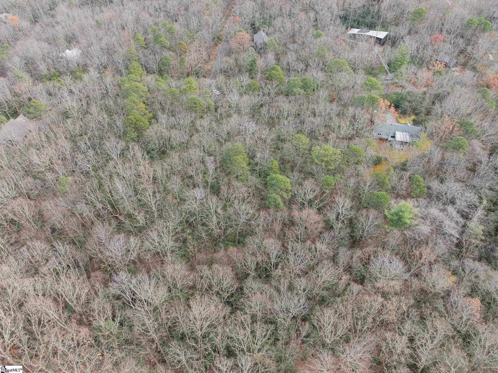 204 Conifer Falls Road Property Photo 17