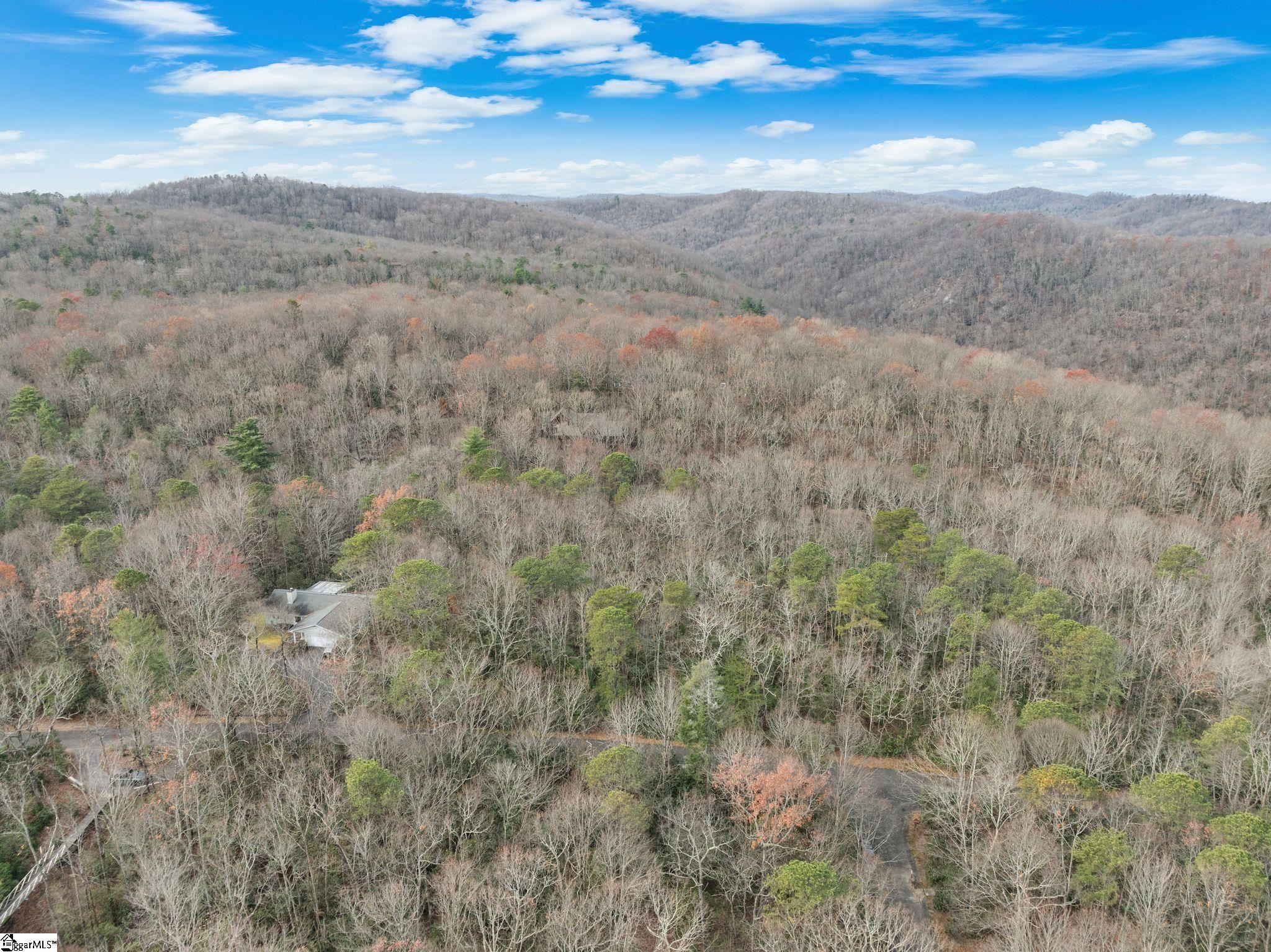 204 Conifer Falls Road Property Photo 18