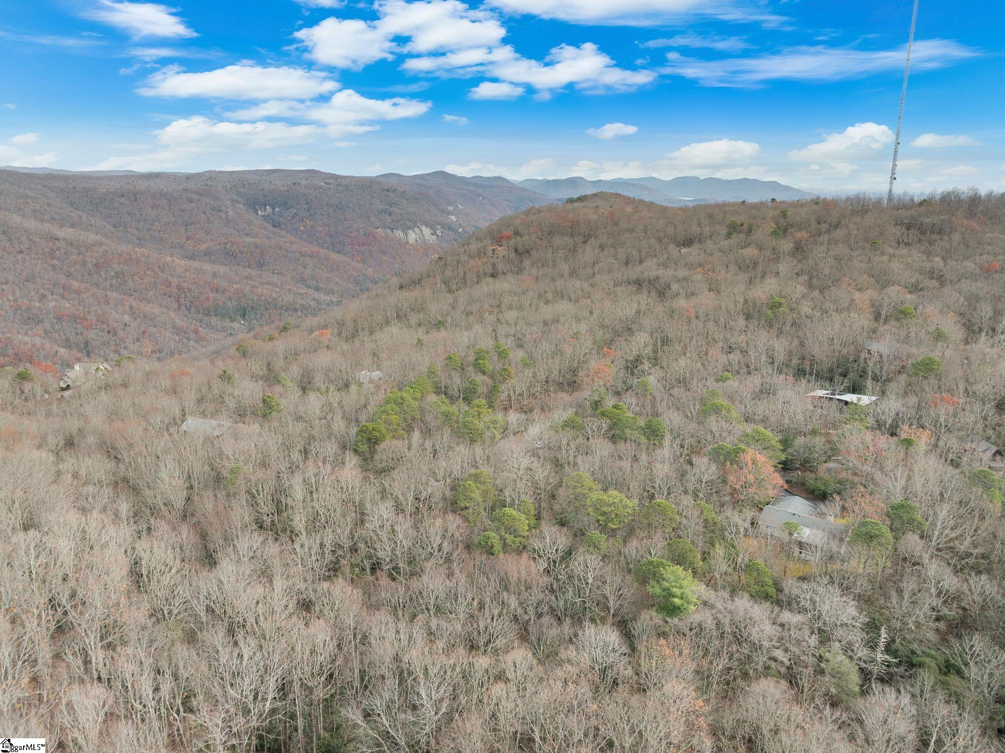 204 Conifer Falls Road Property Photo 21