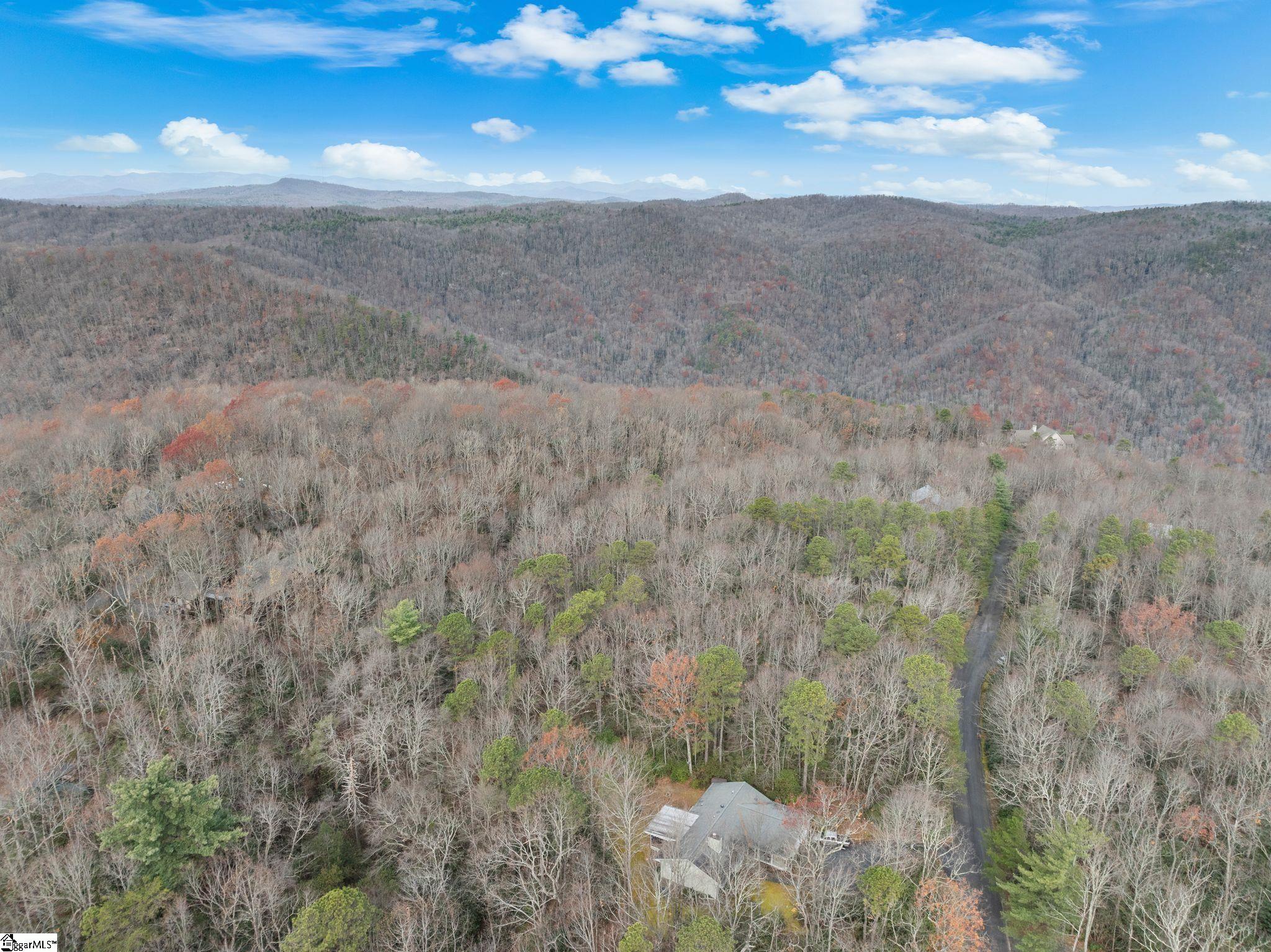 204 Conifer Falls Road Property Photo 22