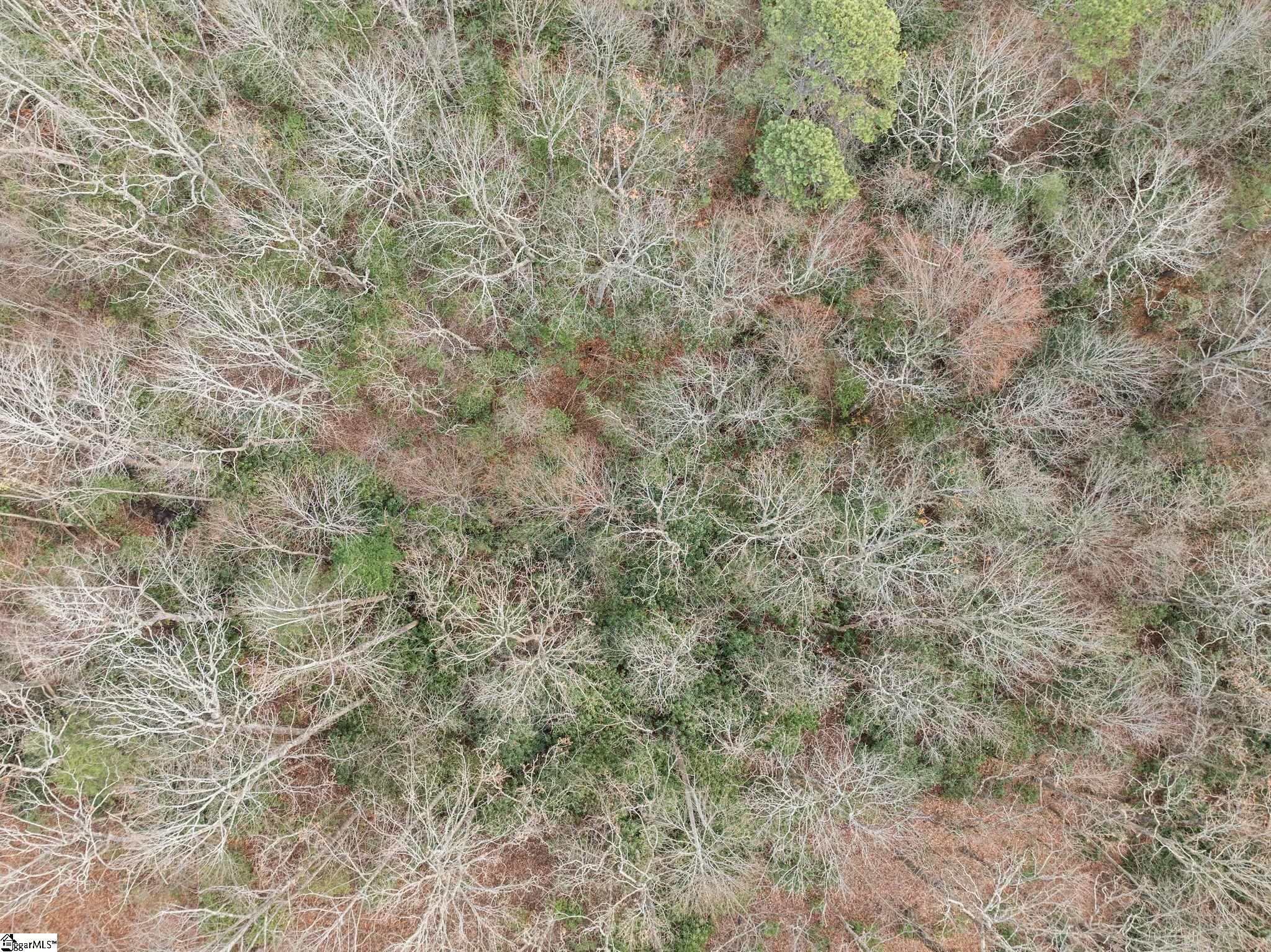 204 Conifer Falls Road Property Photo 23