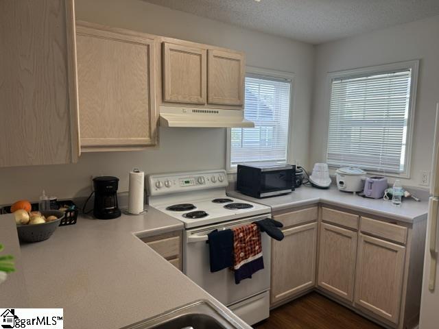 102 University Village Drive Property Photo 4