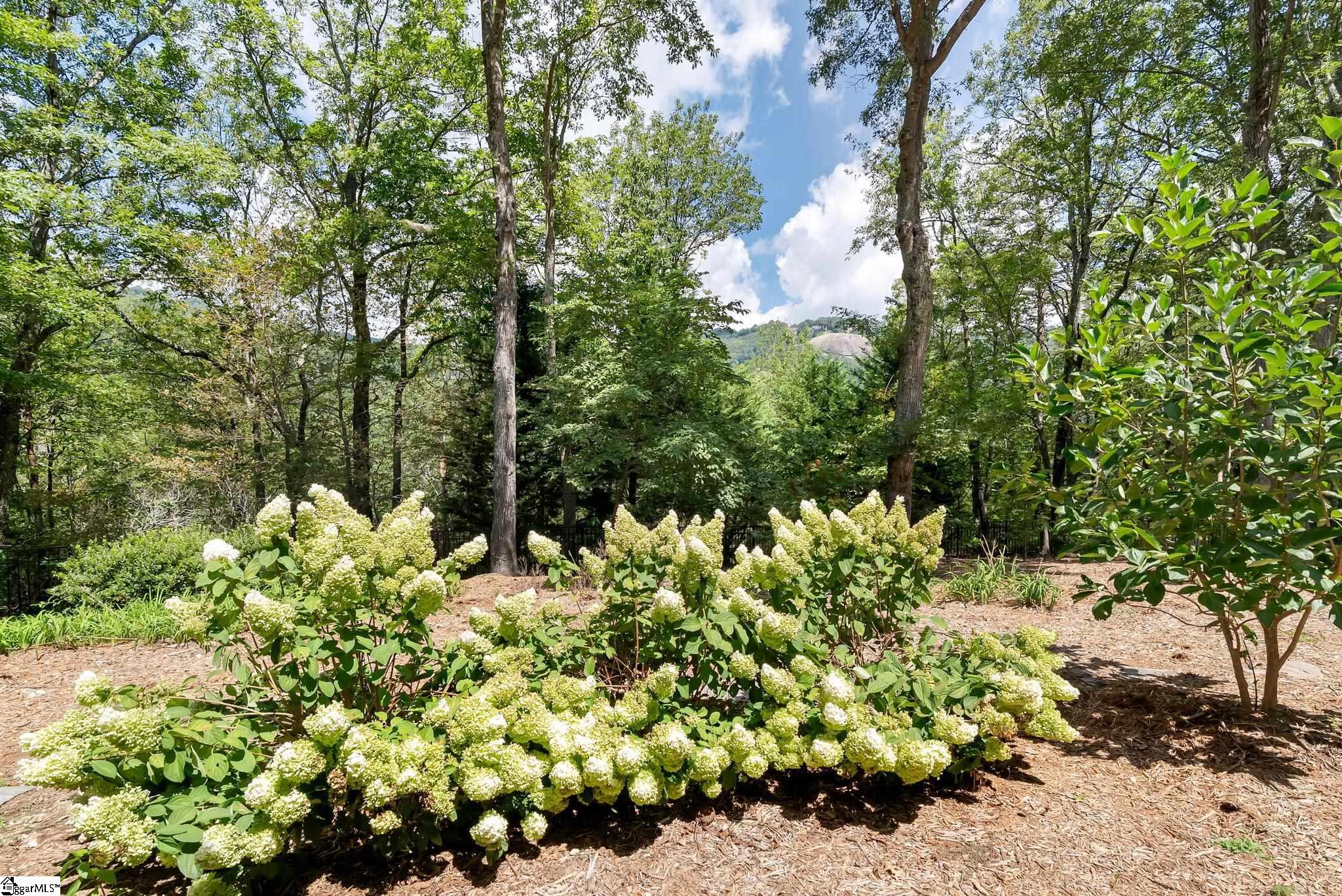 610 Plumley Summit Road Property Photo 18