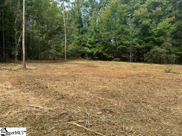 571 Highway 221 Property Photo 2