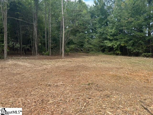 571 Highway 221 Property Photo 4