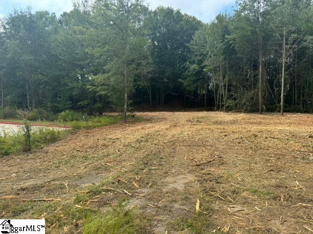 571 Highway 221 Property Photo 5