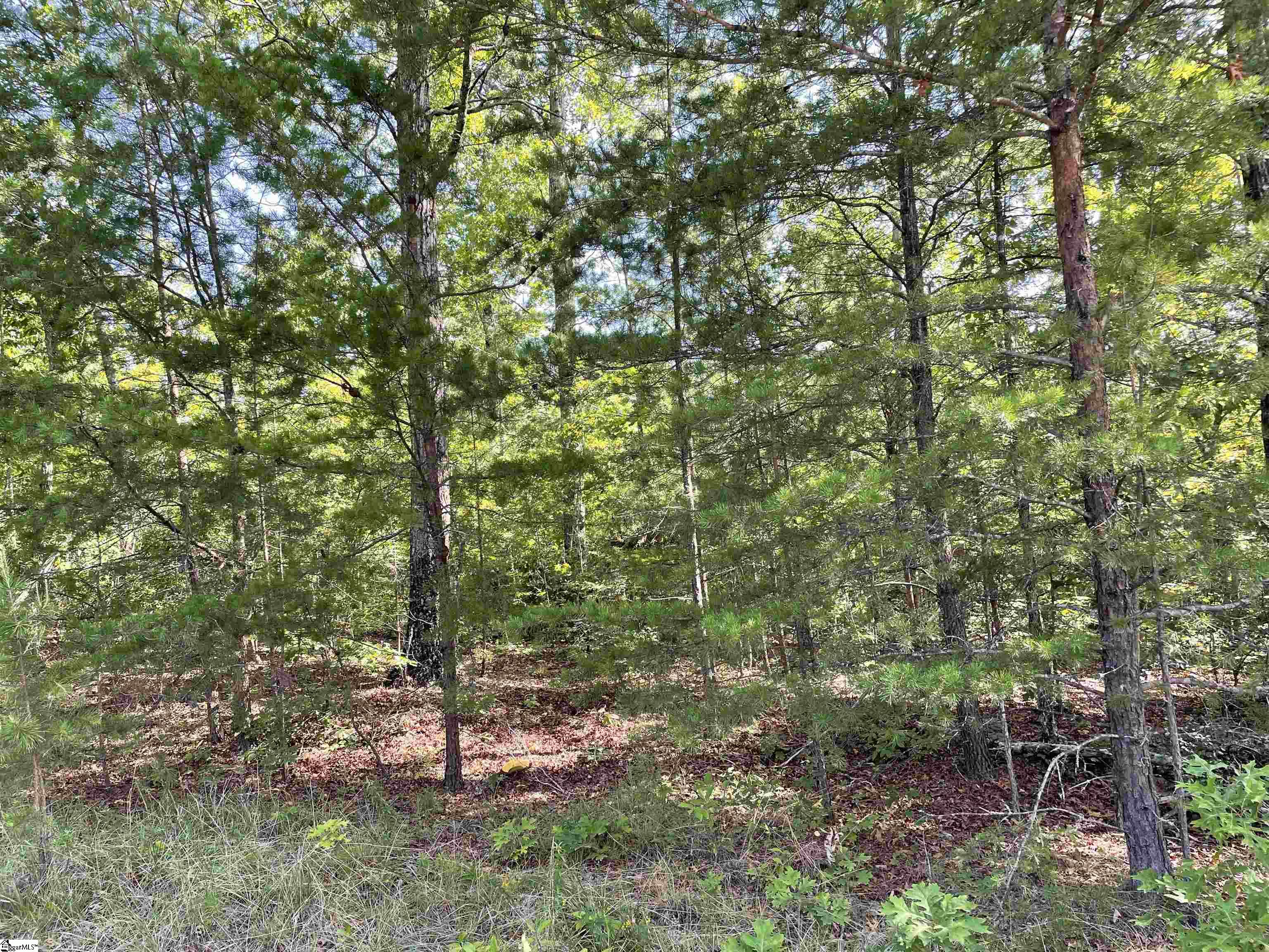 00 Whitewater Point Road Property Photo 11