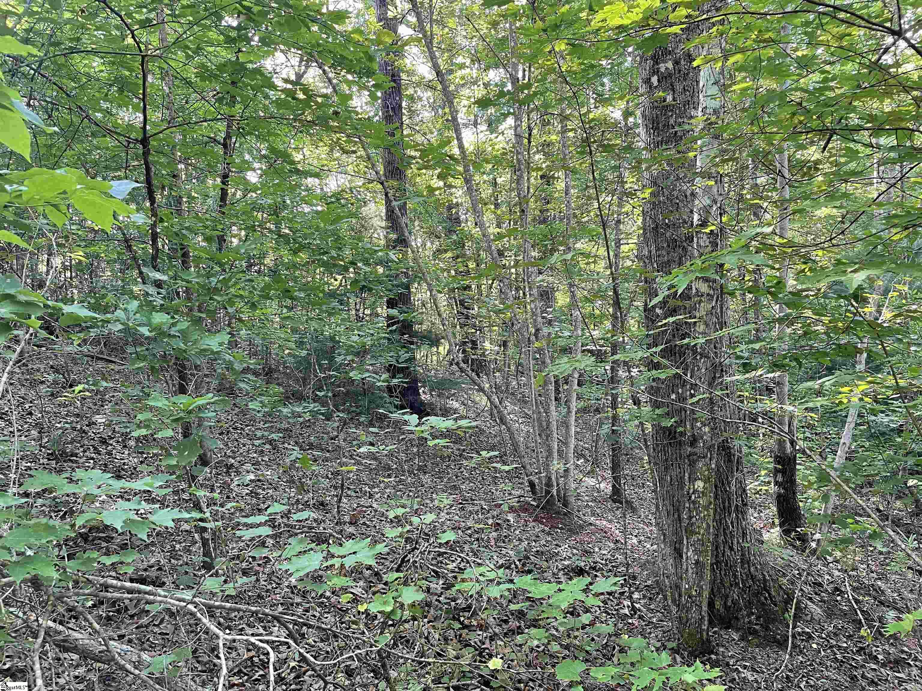 00 Whitewater Point Road Property Photo 12