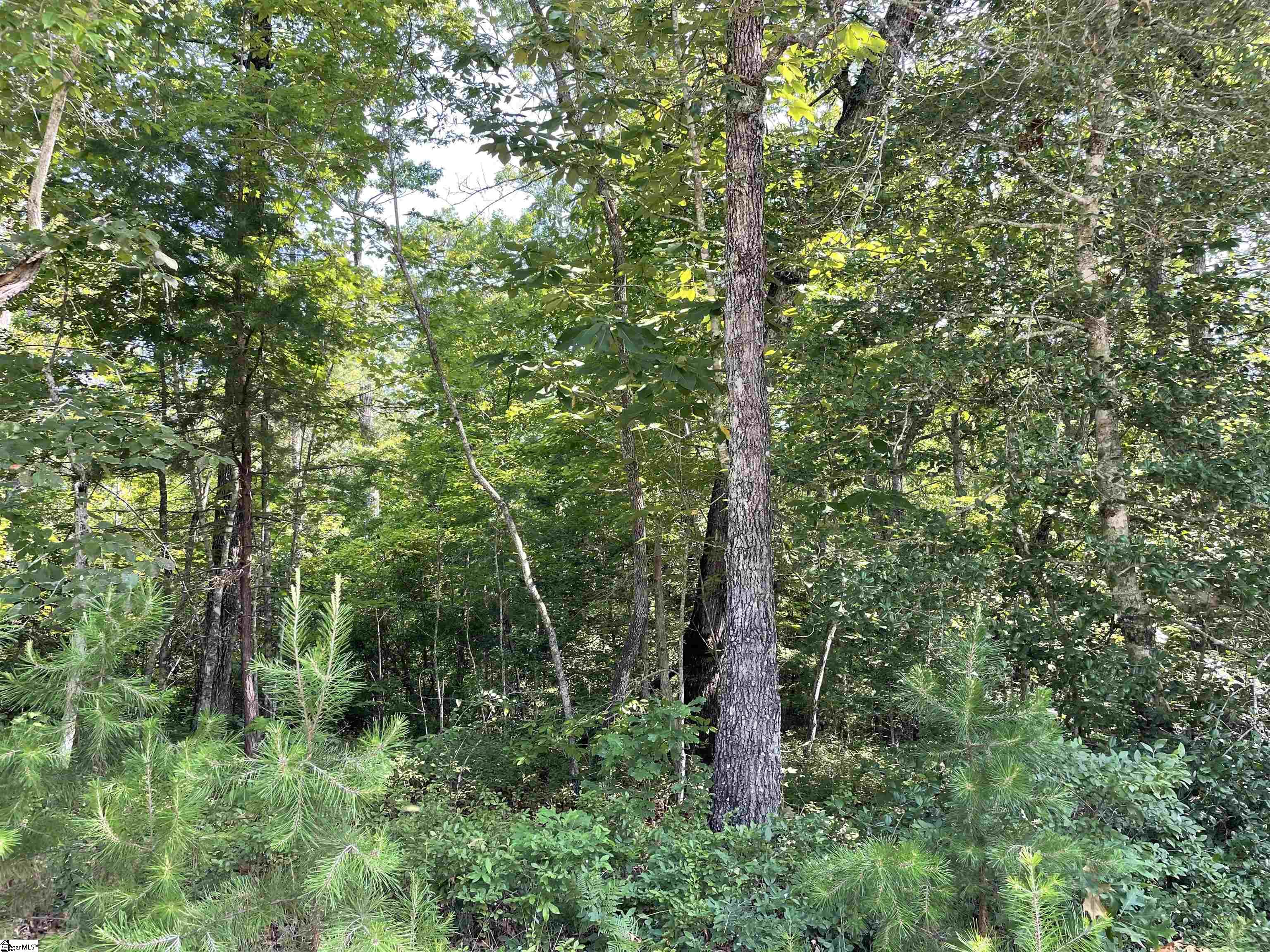00 Whitewater Point Road Property Photo 14