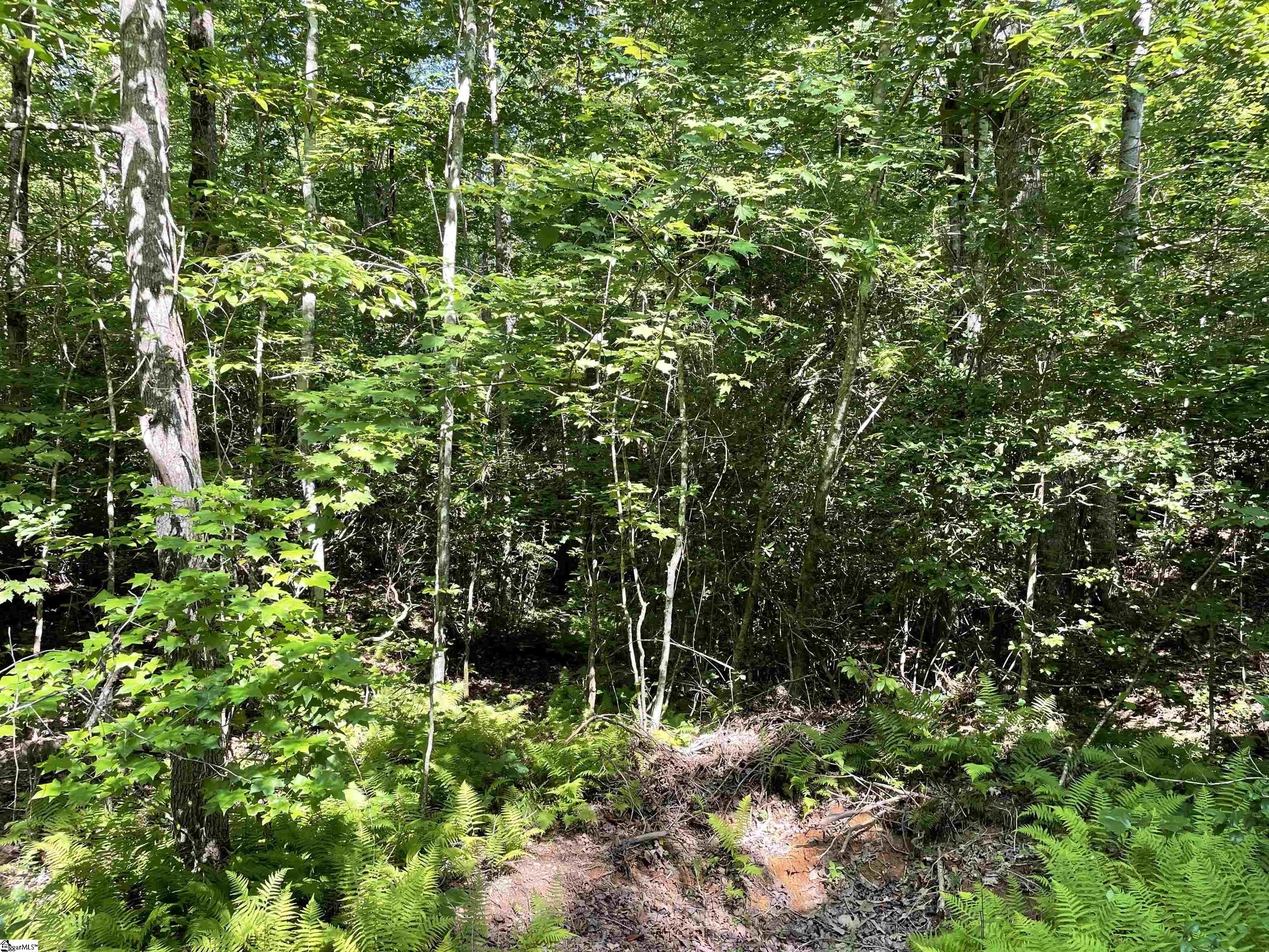 00 Whitewater Point Road Property Photo 15