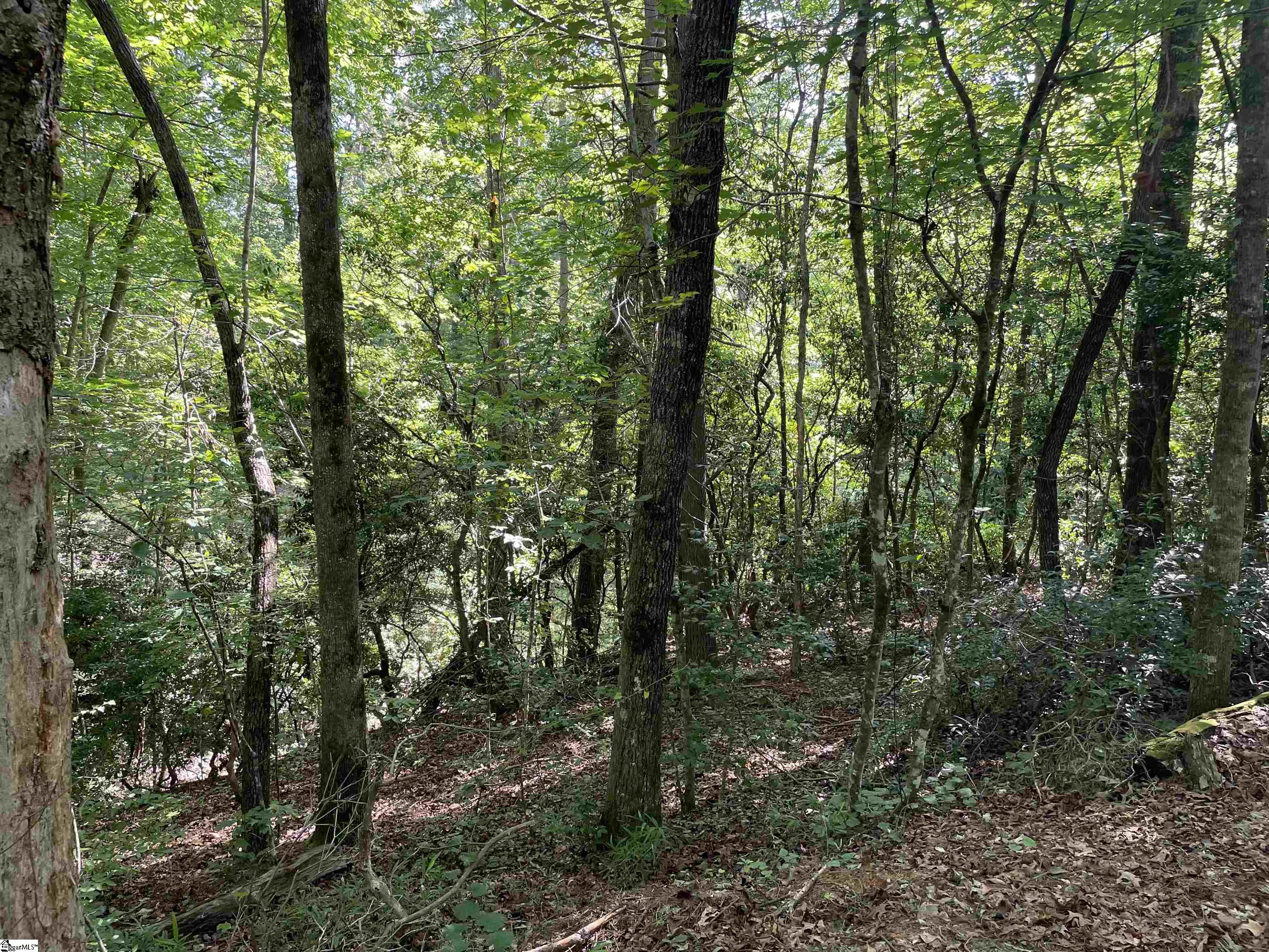 00 Whitewater Point Road Property Photo 16
