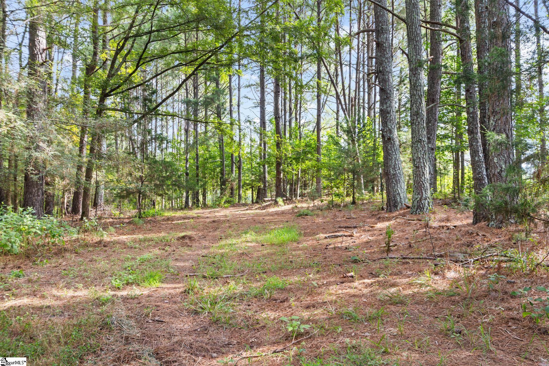 1496 Dixon Road Property Photo 12