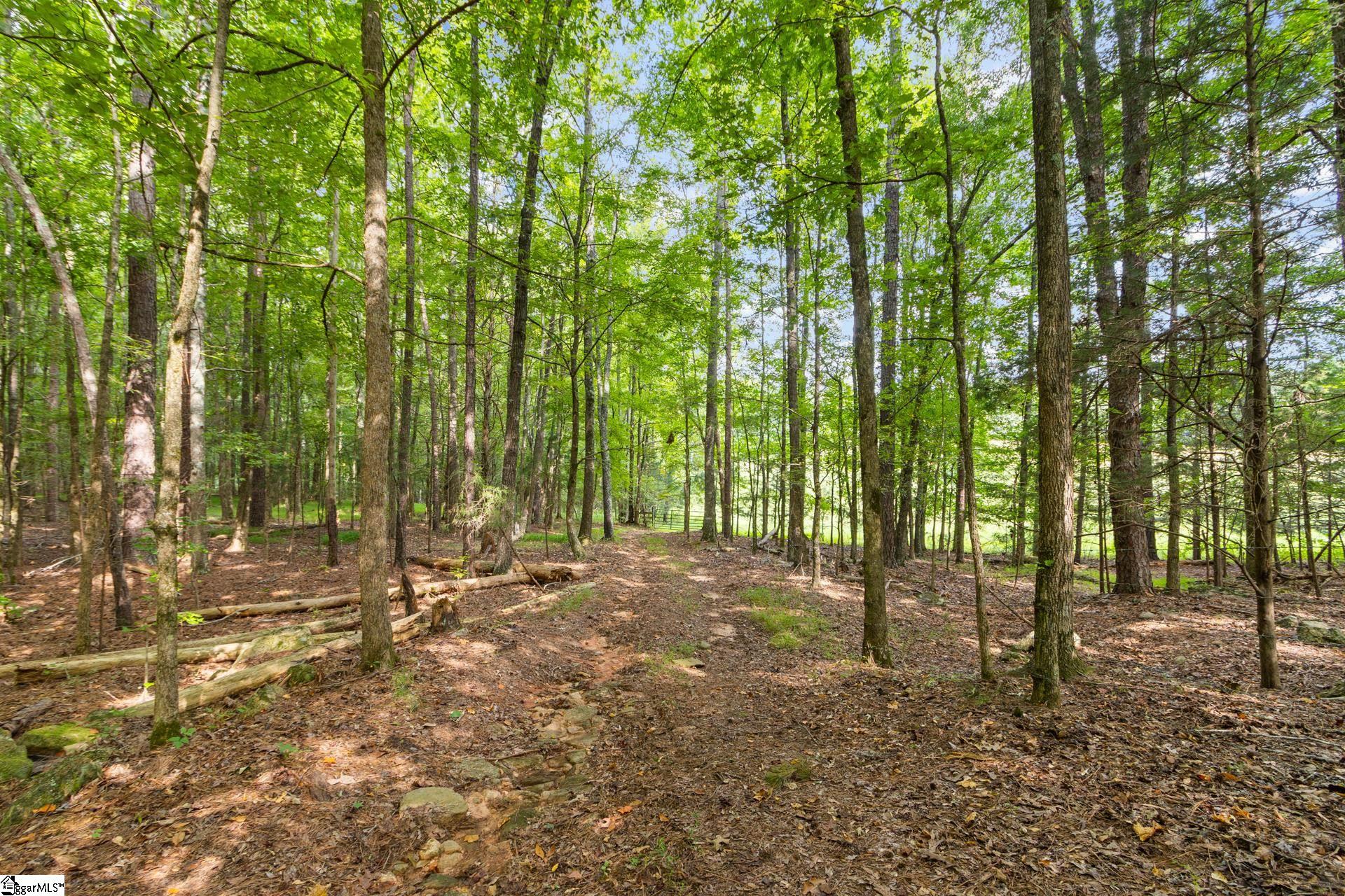 1496 Dixon Road Property Photo 13