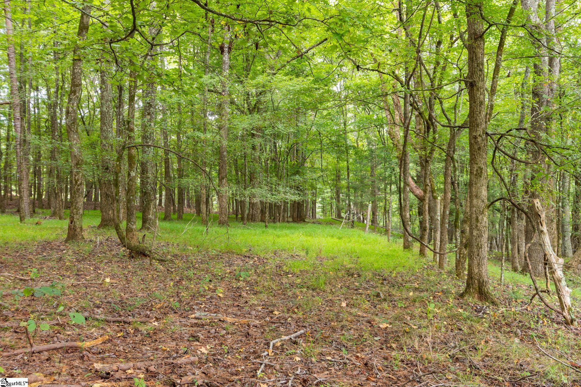 1496 Dixon Road Property Photo 16