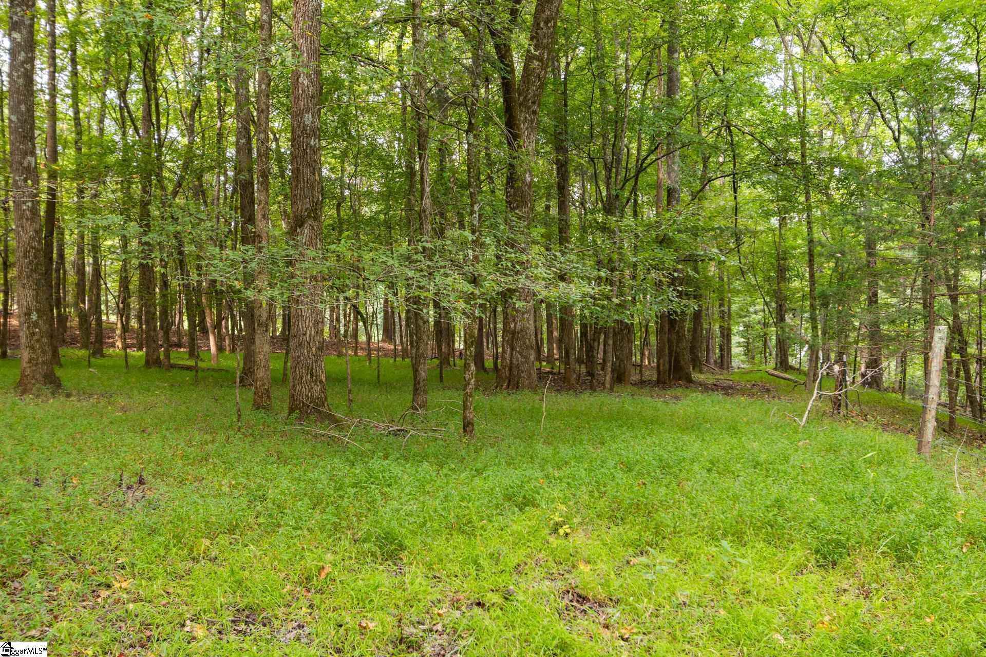 1496 Dixon Road Property Photo 17