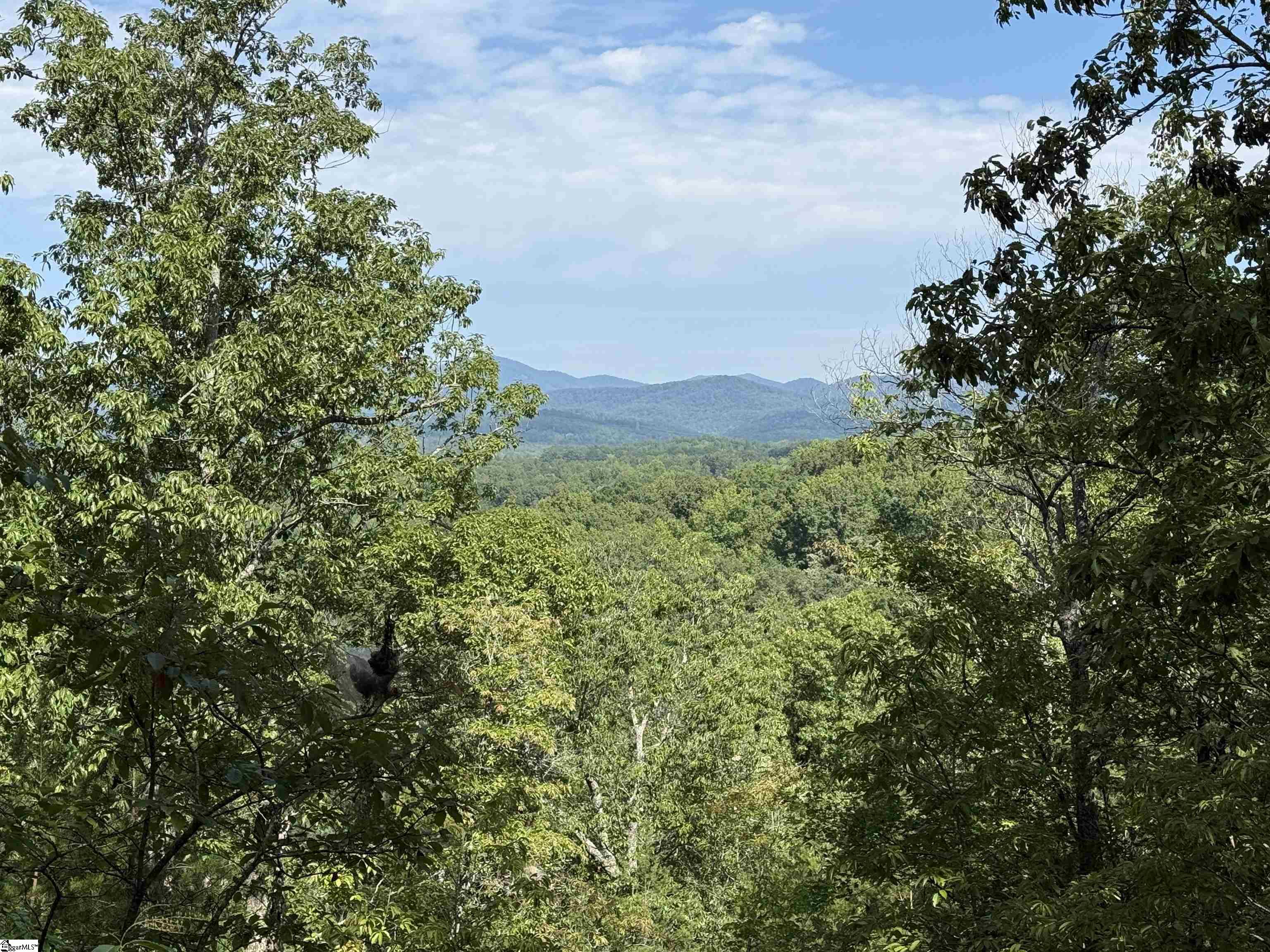 1140 Packs Mountain Ridge Road Property Photo 3