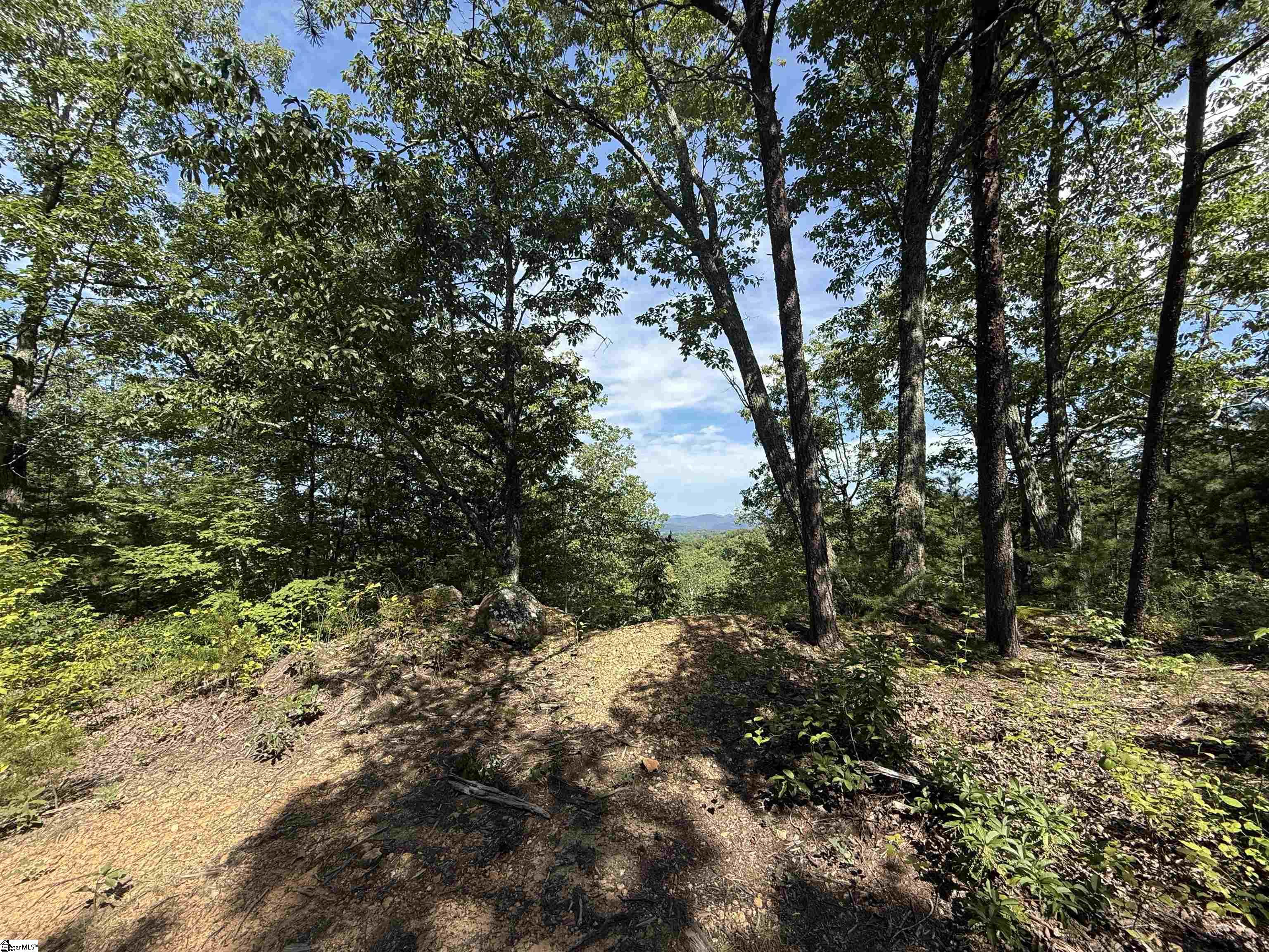 1140 Packs Mountain Ridge Road Property Photo 4