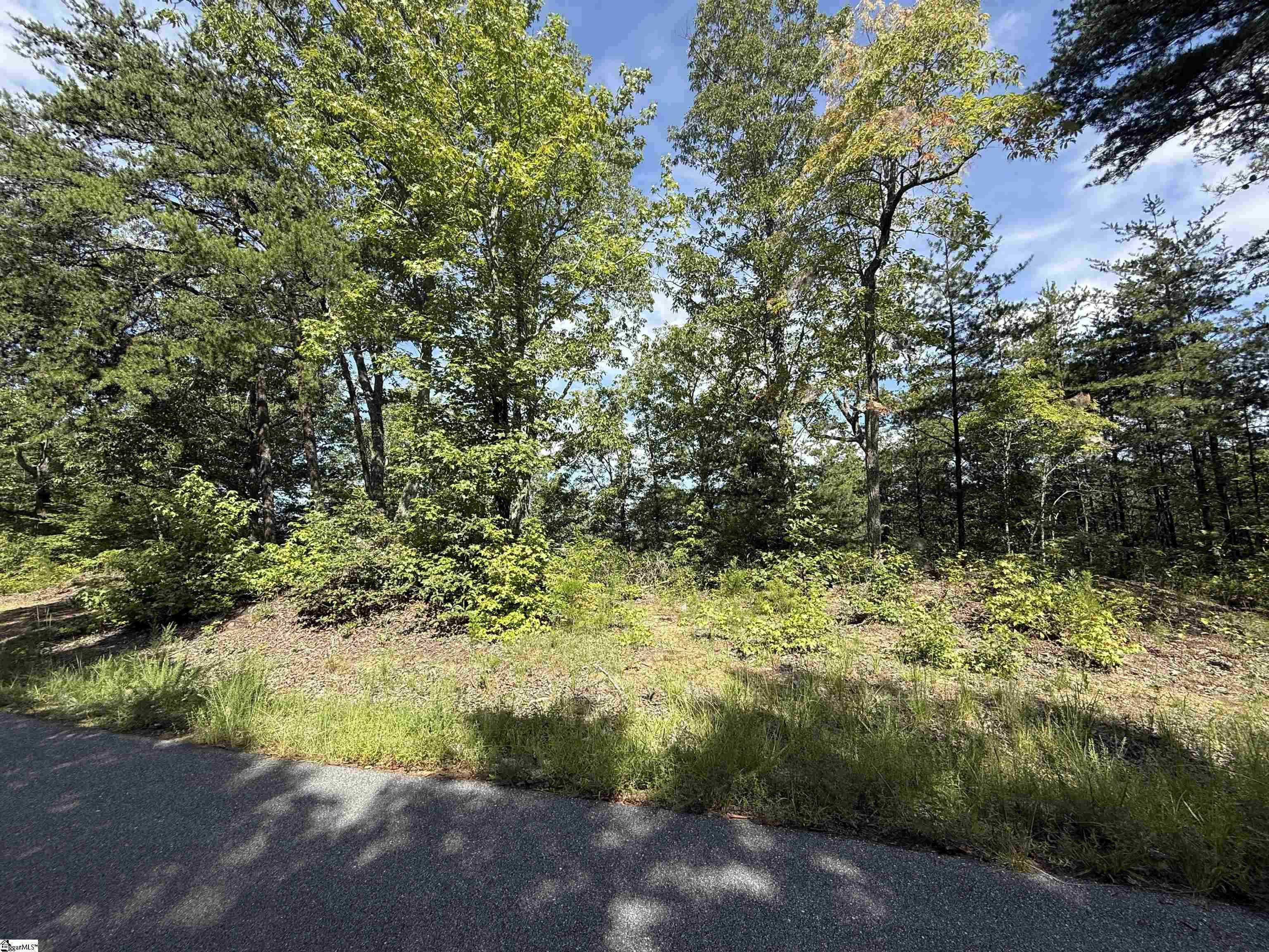 1140 Packs Mountain Ridge Road Property Photo 5