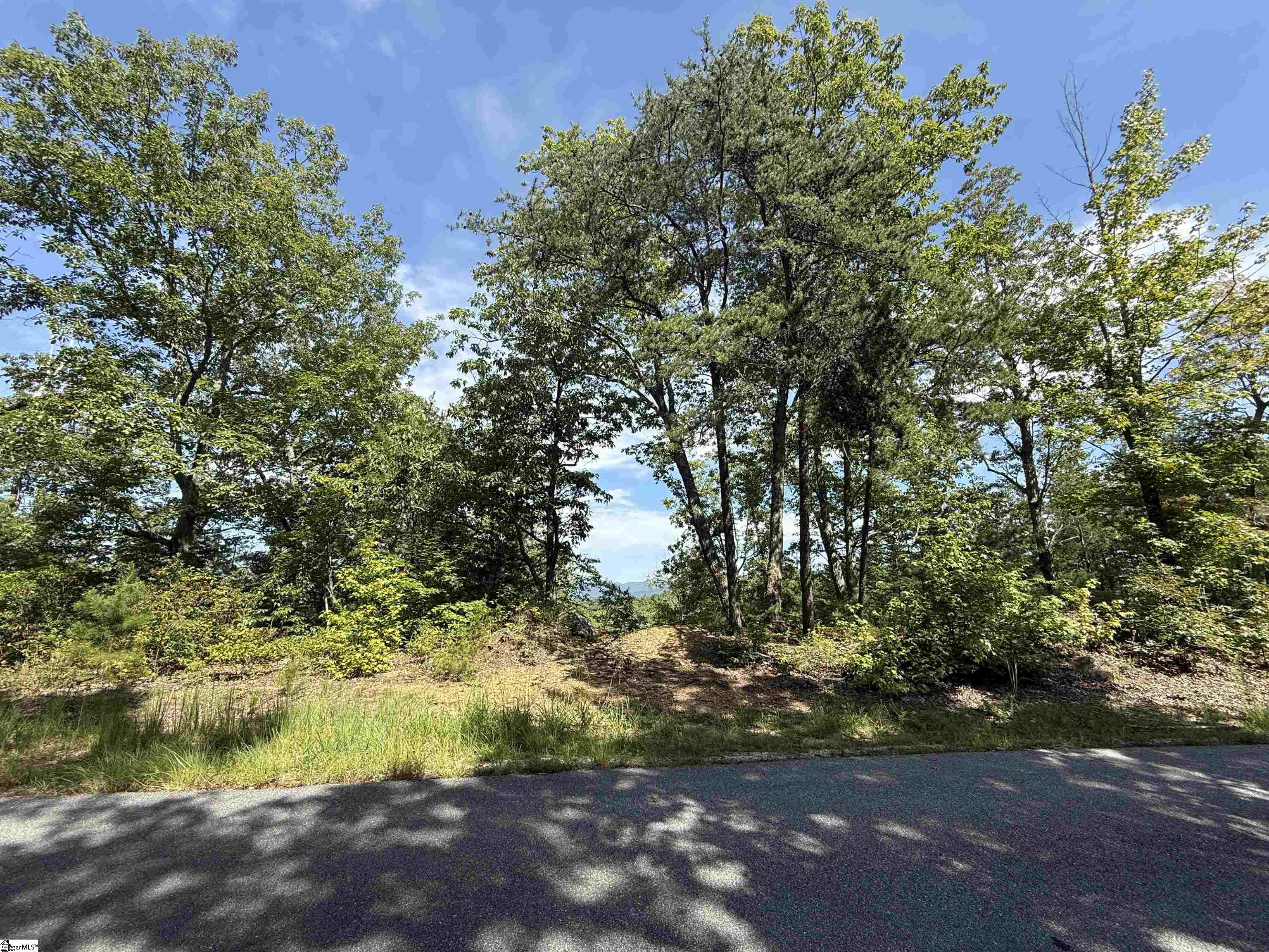 1140 Packs Mountain Ridge Road Property Photo 6