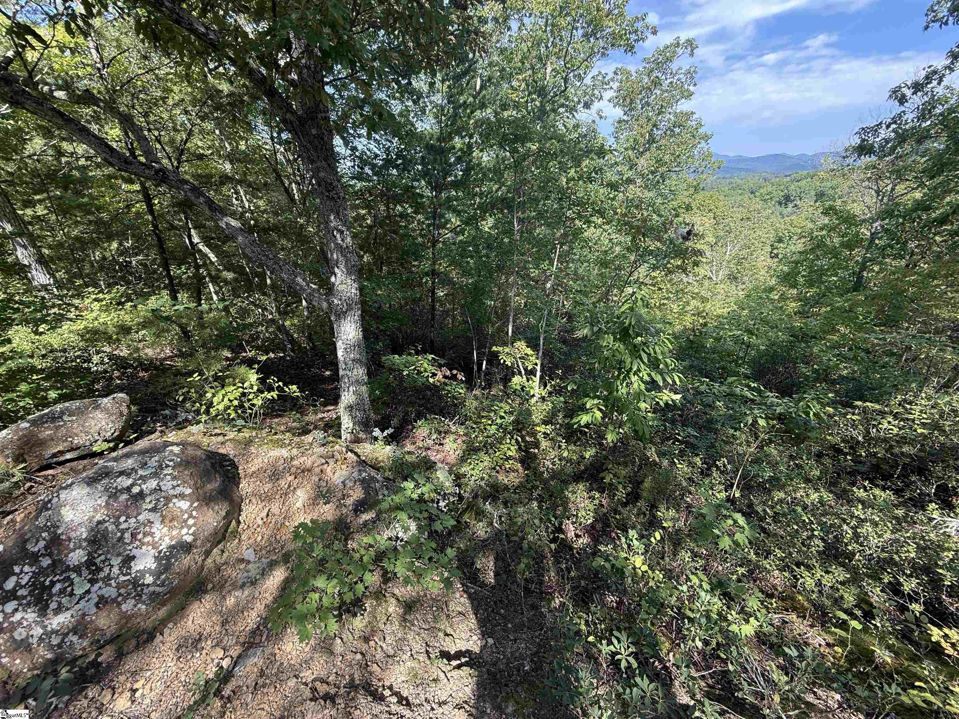 1140 Packs Mountain Ridge Road Property Photo 7