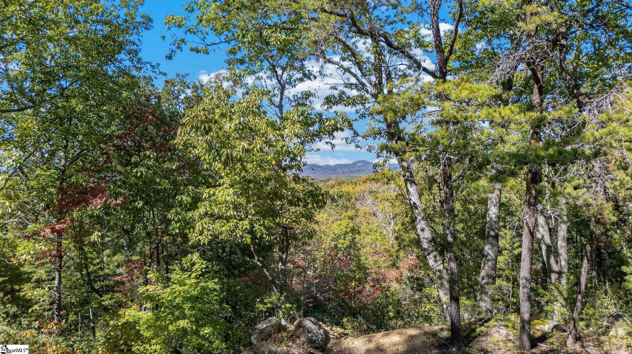 1140 Packs Mountain Ridge Road Property Photo 9
