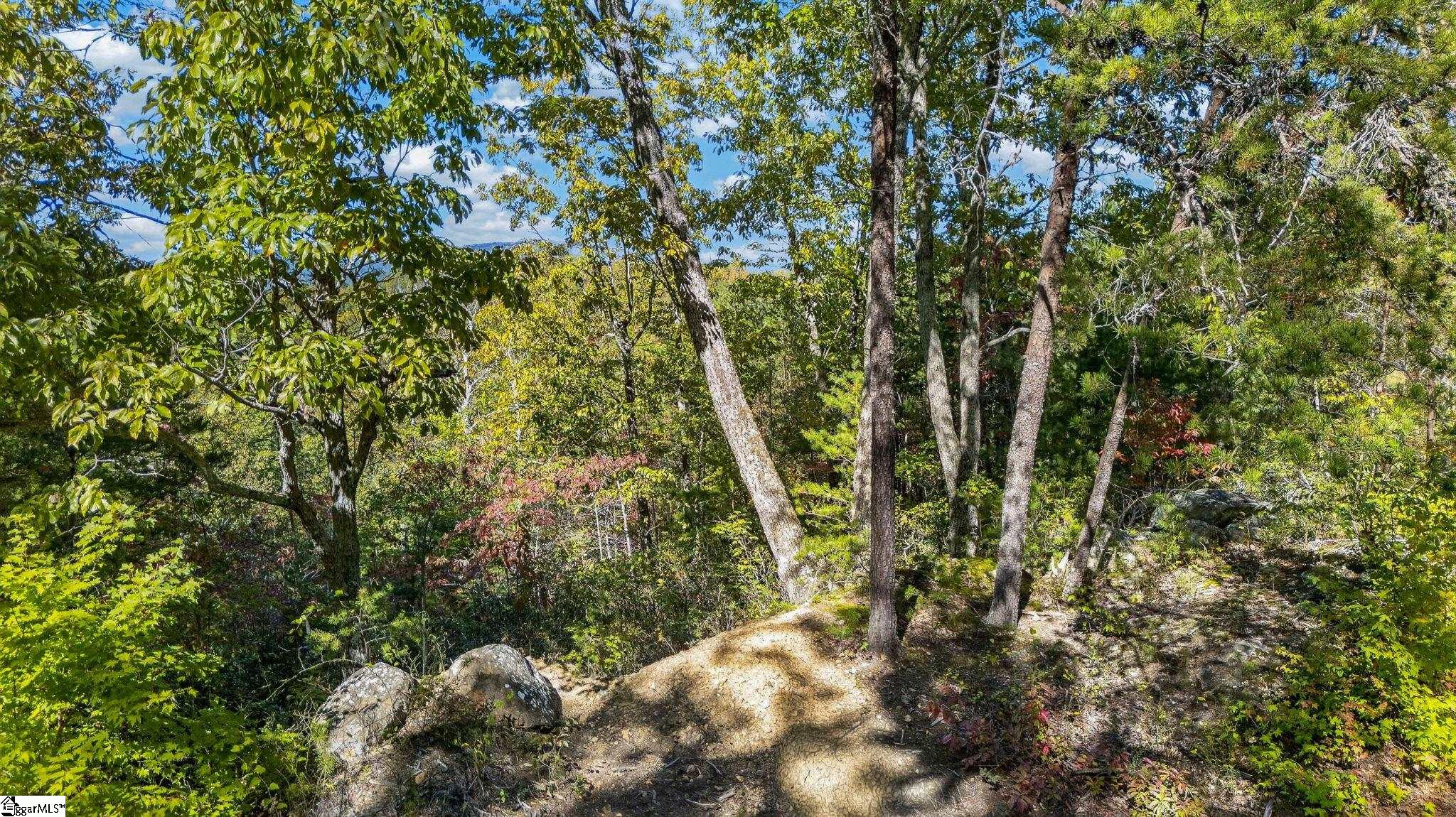 1140 Packs Mountain Ridge Road Property Photo 10