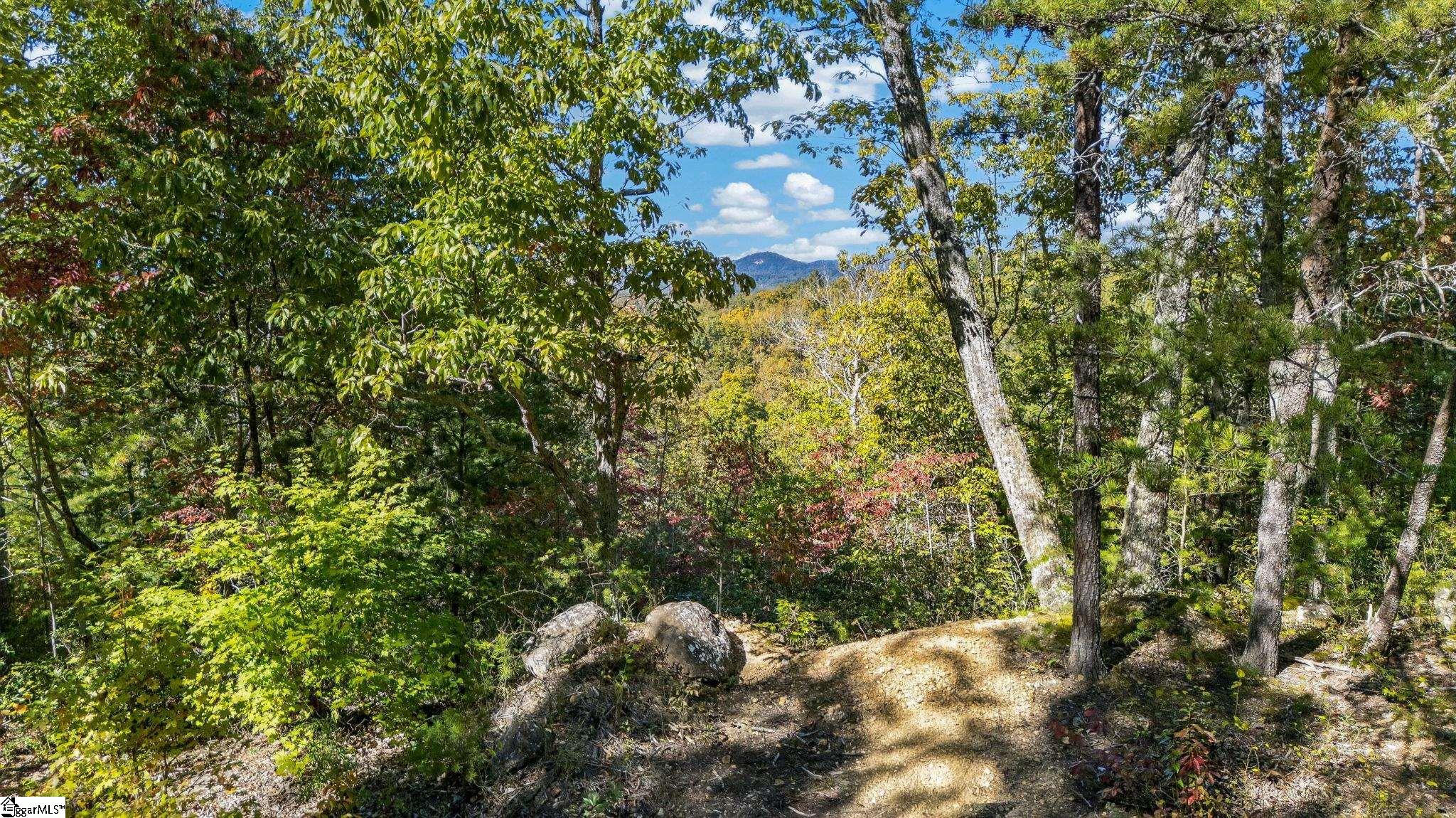 1140 Packs Mountain Ridge Road Property Photo 11
