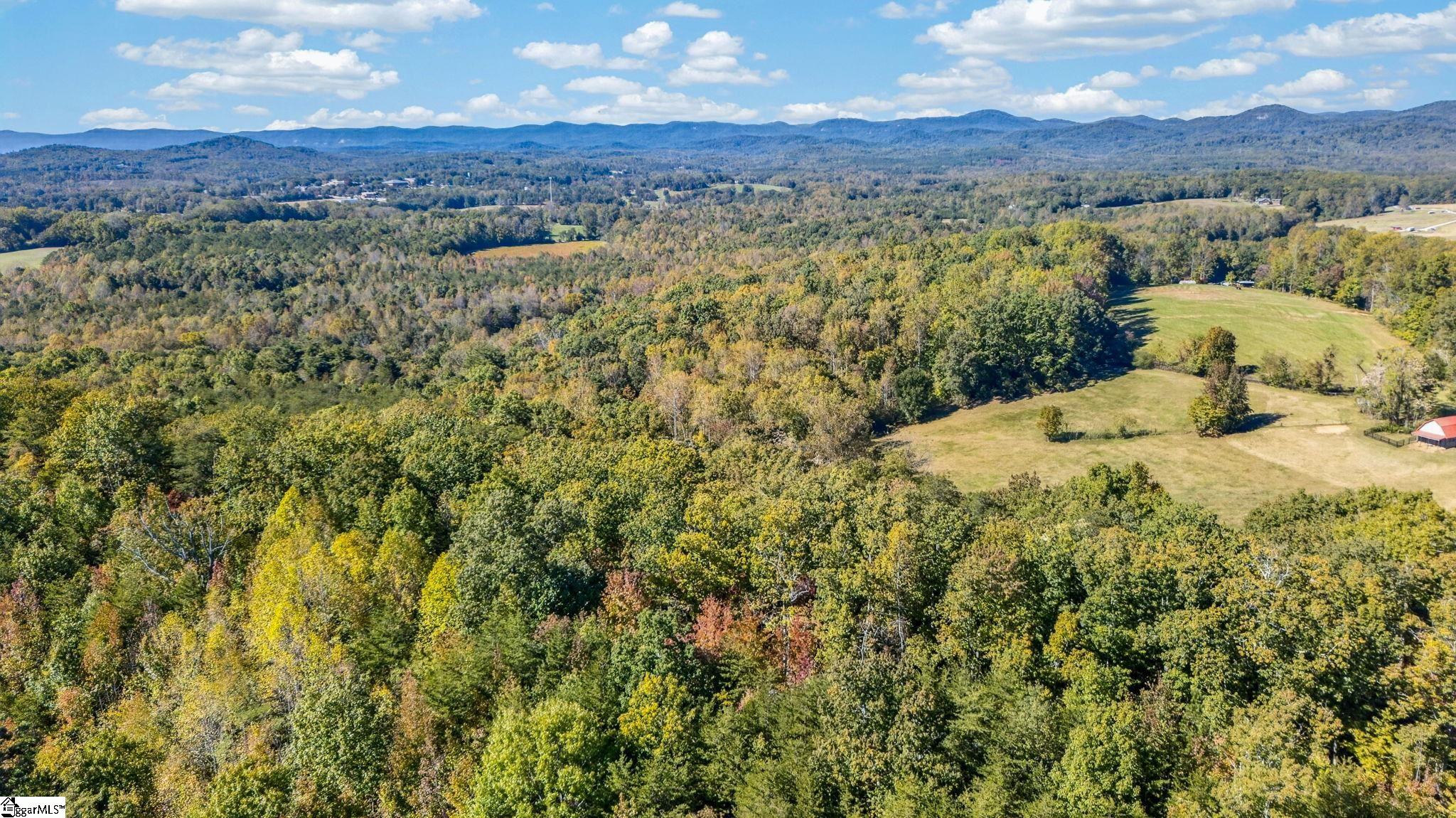 1140 Packs Mountain Ridge Road Property Photo 12