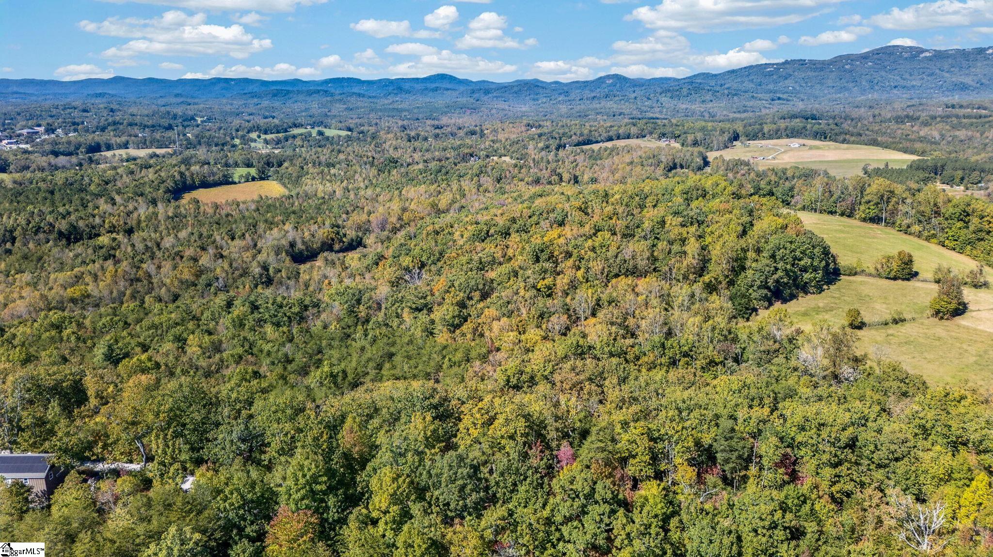 1140 Packs Mountain Ridge Road Property Photo 13
