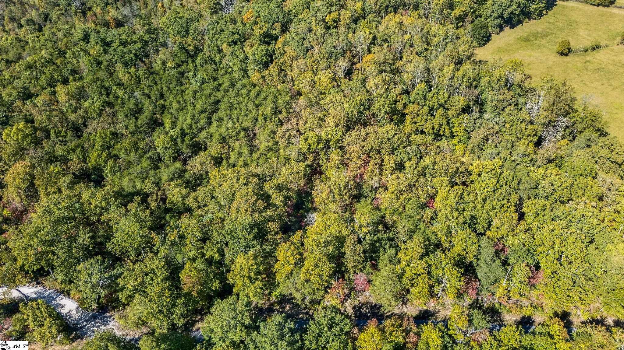 1140 Packs Mountain Ridge Road Property Photo 14