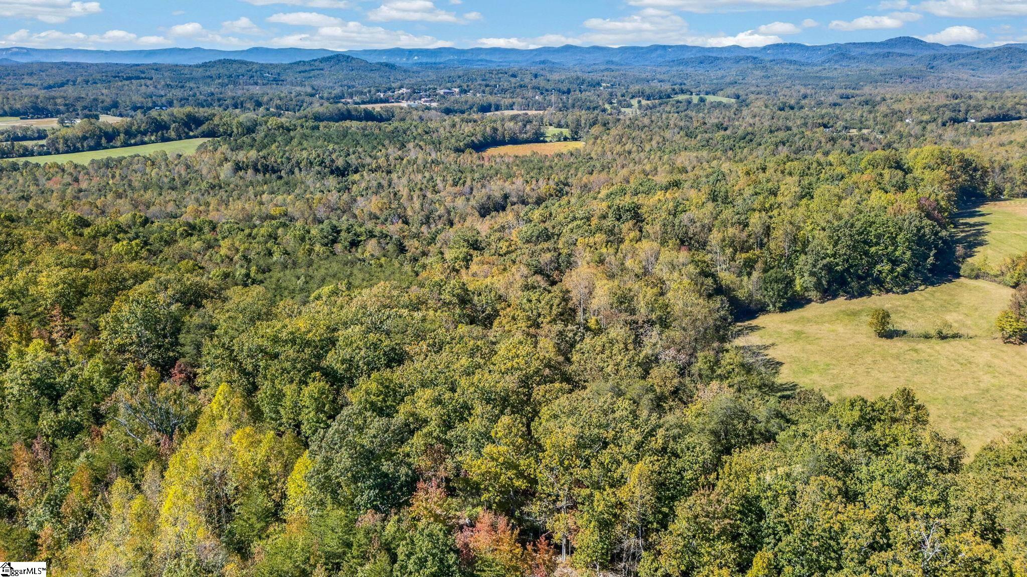1140 Packs Mountain Ridge Road Property Photo 17