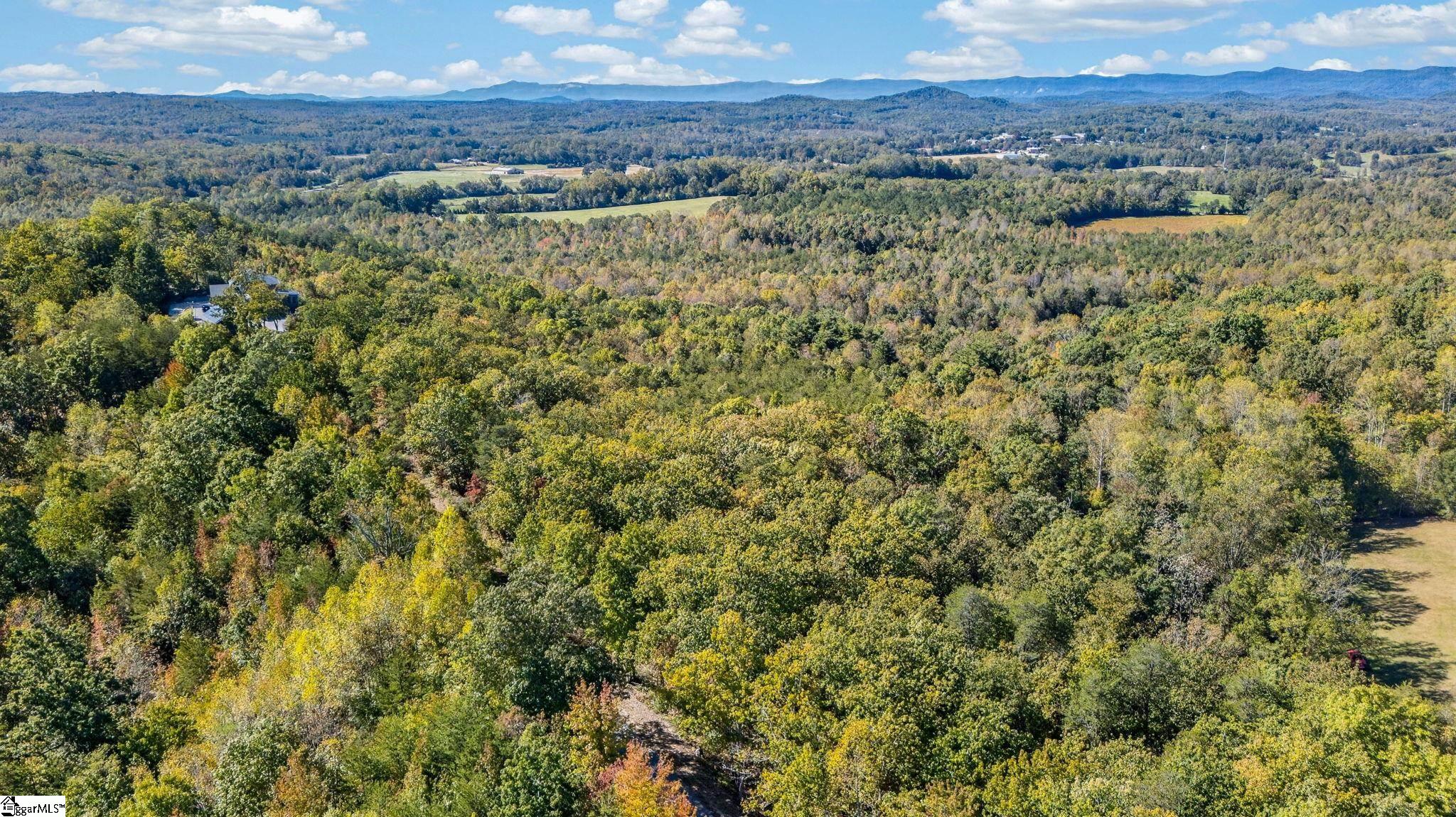 1140 Packs Mountain Ridge Road Property Photo 18
