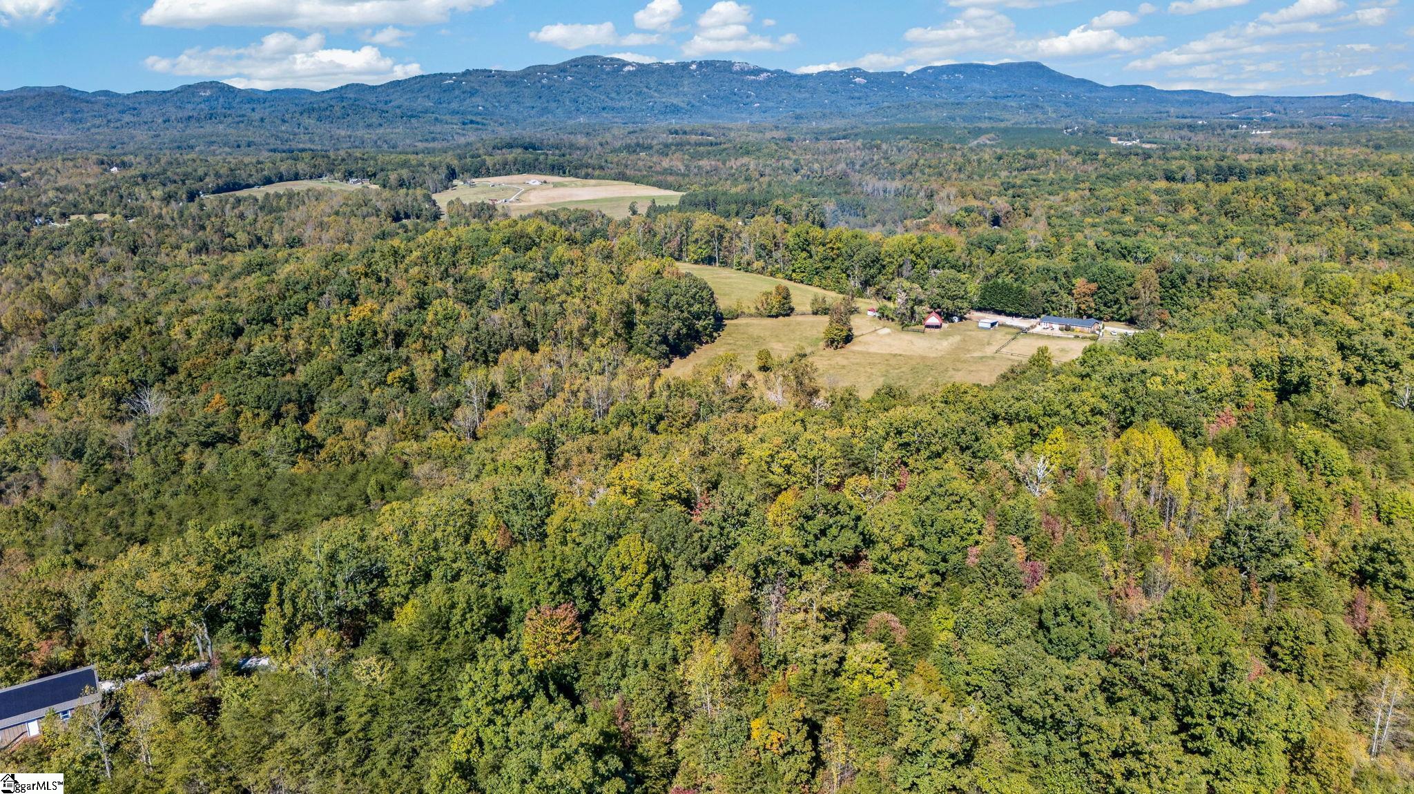 1140 Packs Mountain Ridge Road Property Photo 19
