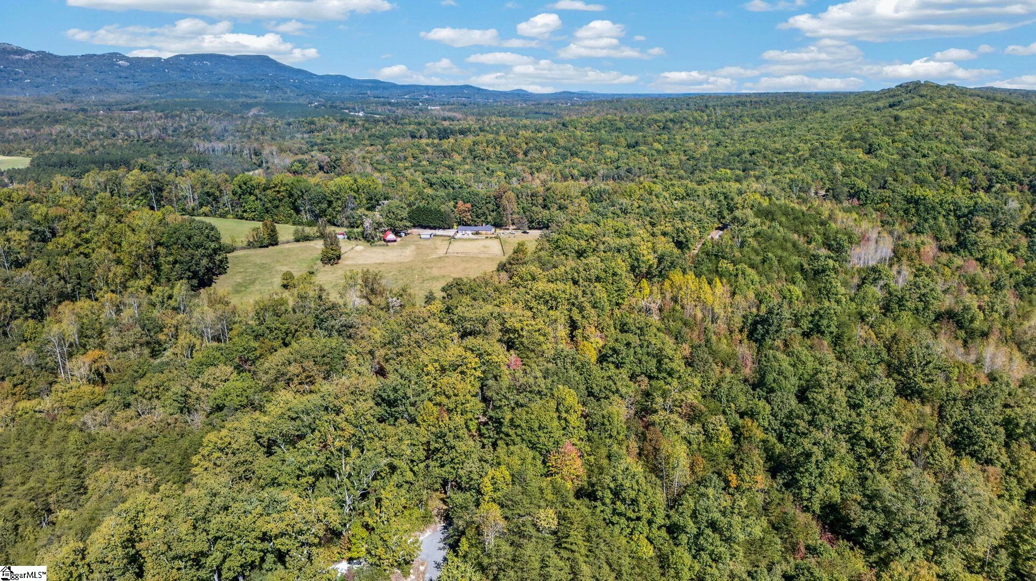 1140 Packs Mountain Ridge Road Property Photo 20